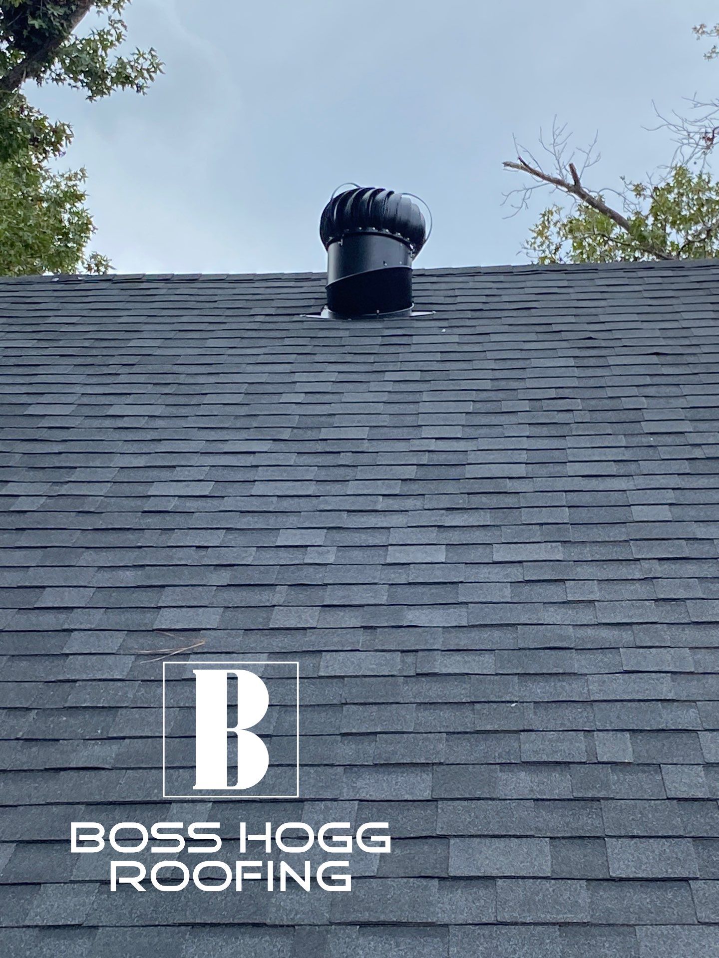 Veronica C. by Boss Hogg Roofing