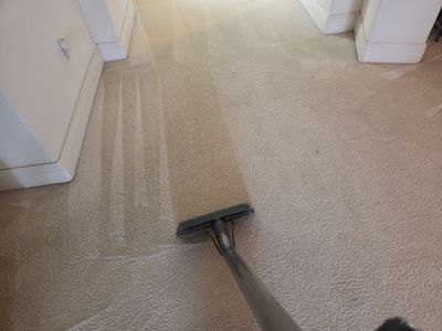 Carpet Cleaning in the Anatolia Neighborhood