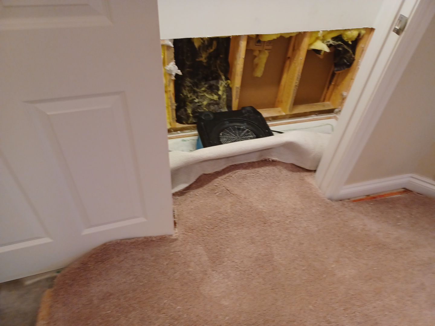 Project in West Bloomfield Township by EzDry Water Mitigation & Property Restoration