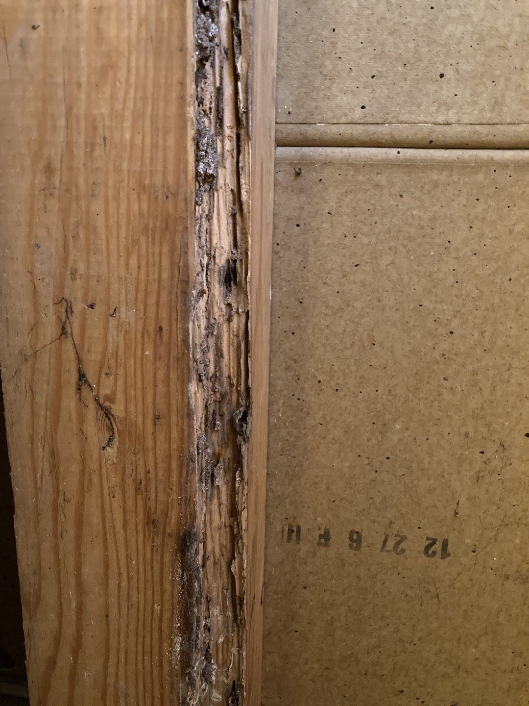 Water Damage Repair by Accountable Home Services