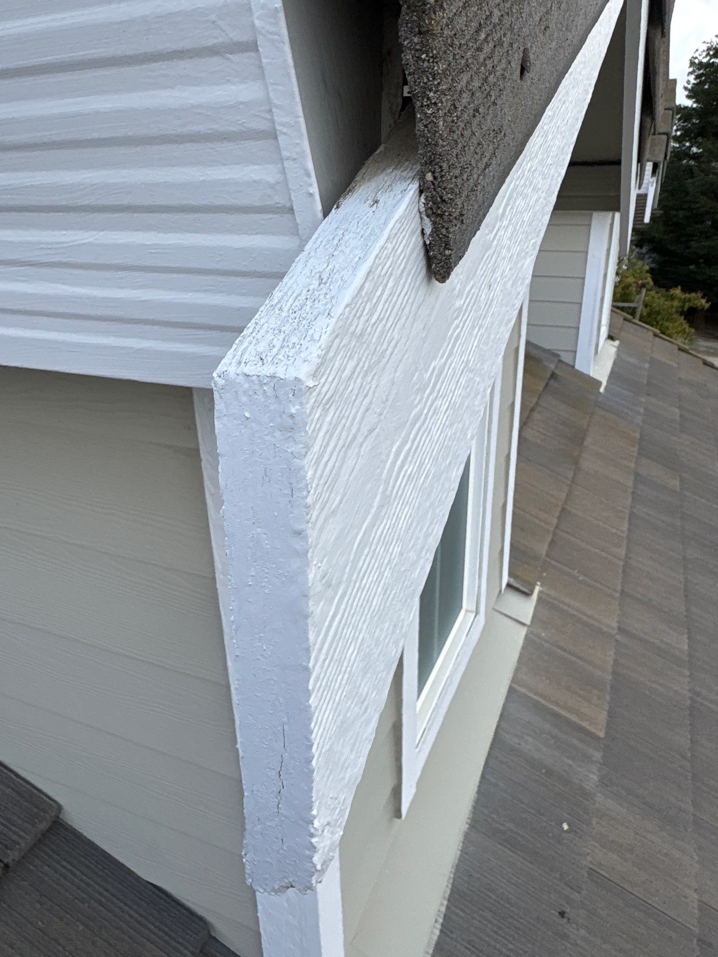 Moss Removal by Top Elevation