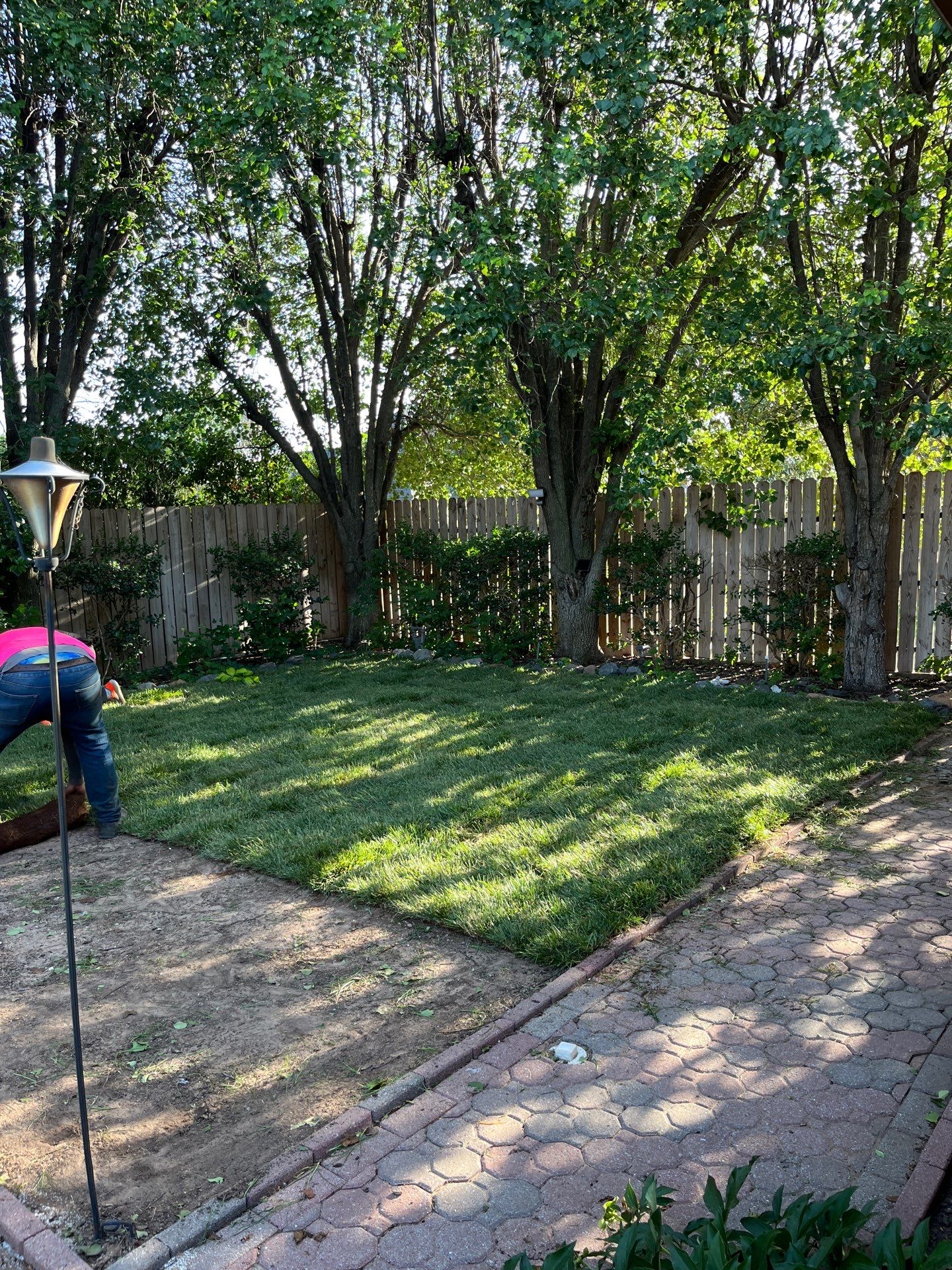 Fescue Installation by Clays Services Inc