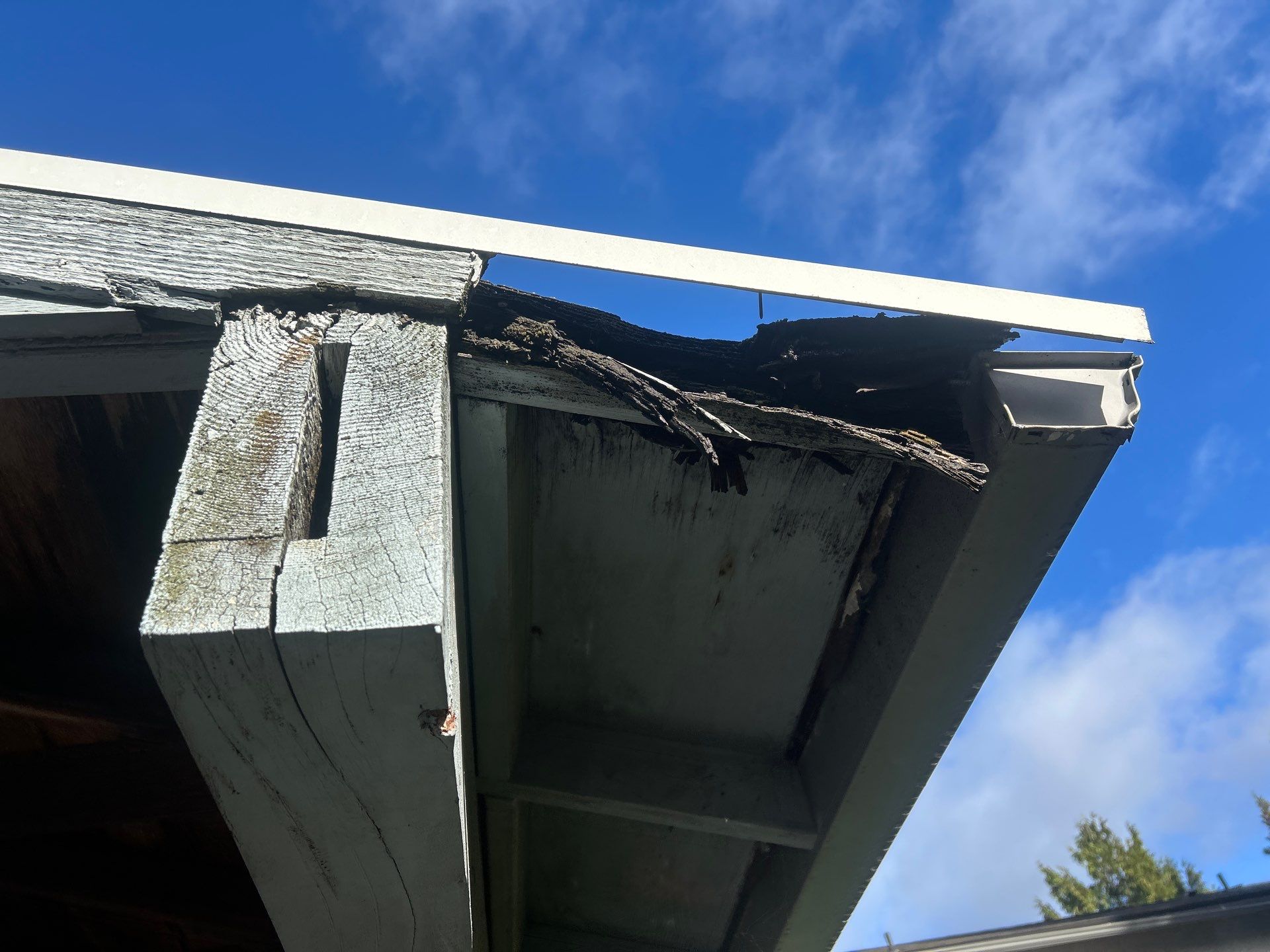 Project in Shoreline by Peaks and Valleys Construction
