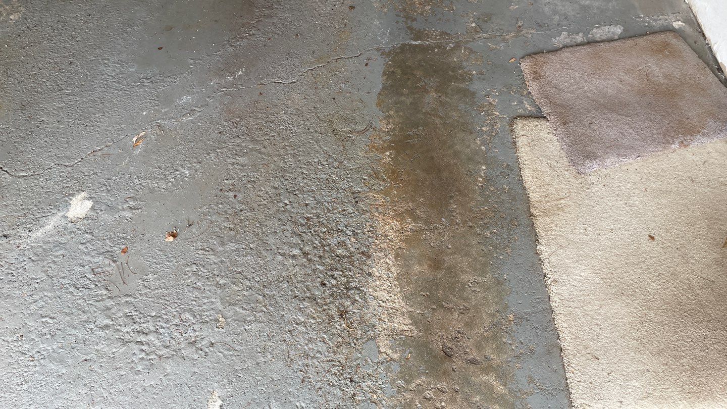Garage in Nashua, NH 03062 by Symphony Concrete Coatings