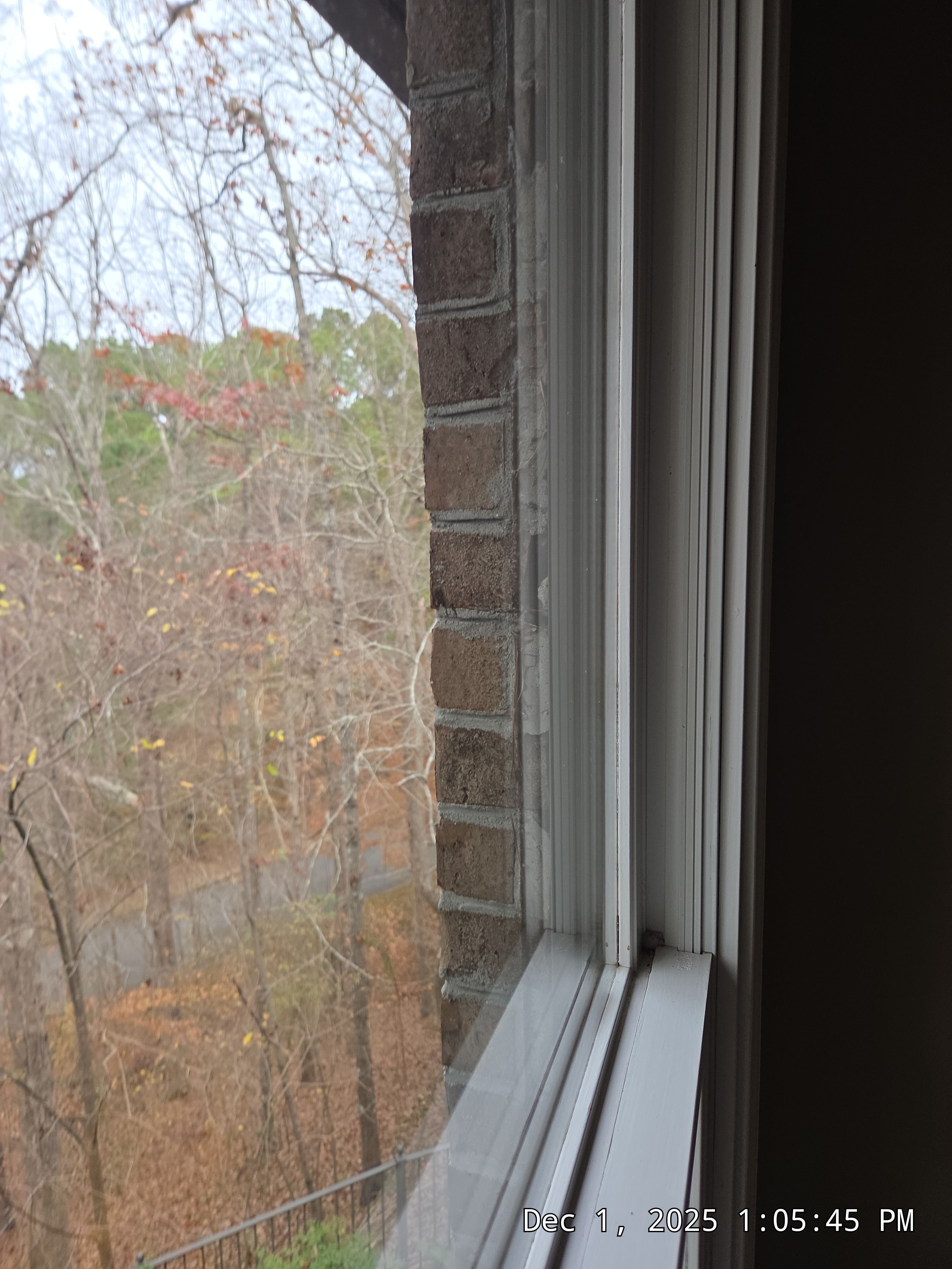 Lewis Project in Hoover by The Window Source