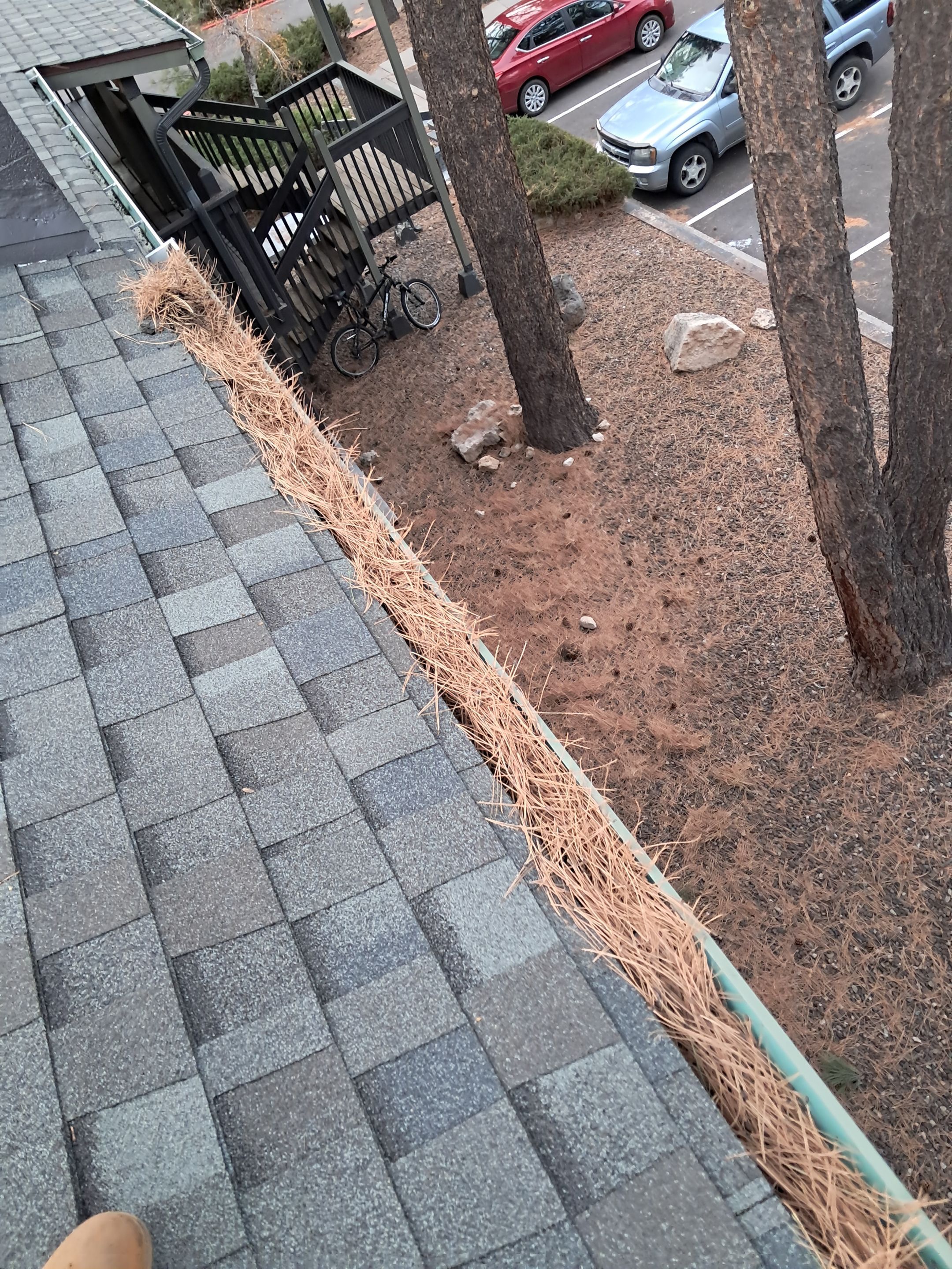 Commercial gutter cleaning Flagstaff, AZ before photo with filled gutters