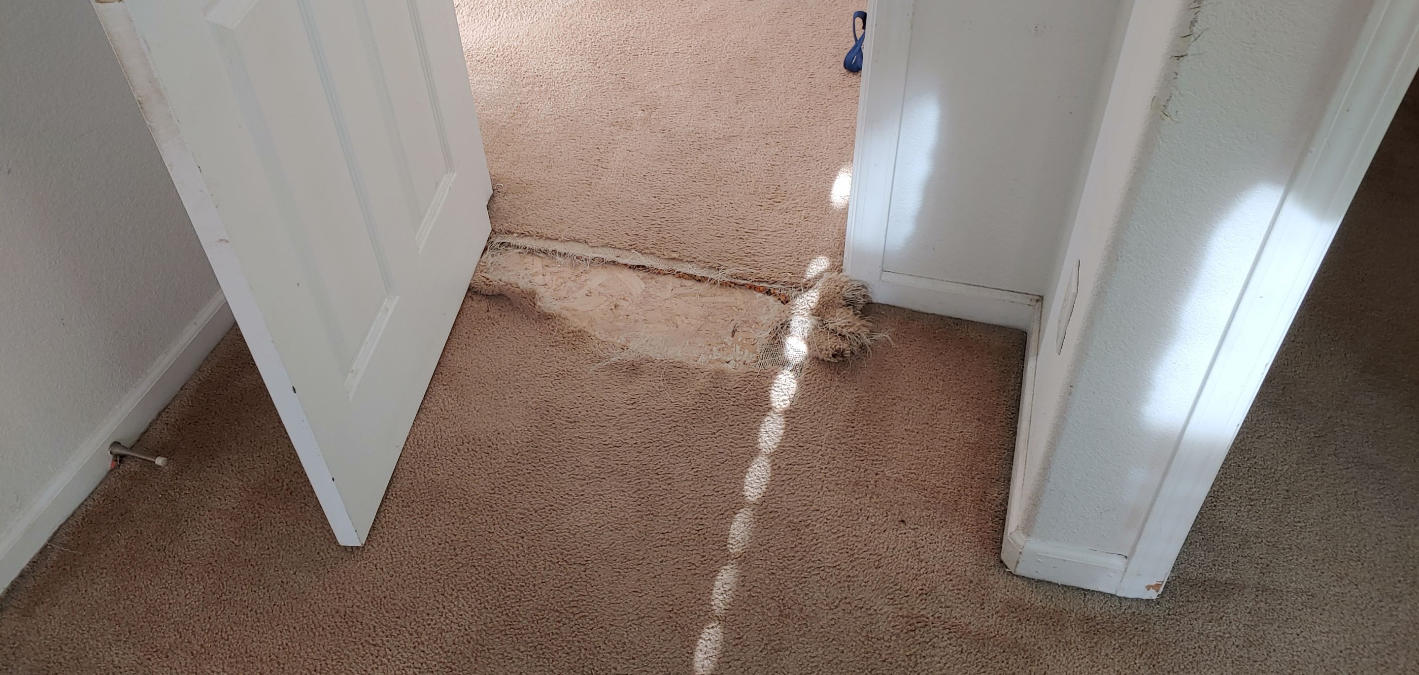 Repairing Carpet Damaged by Pets by Ardent Carpet Restore LLC