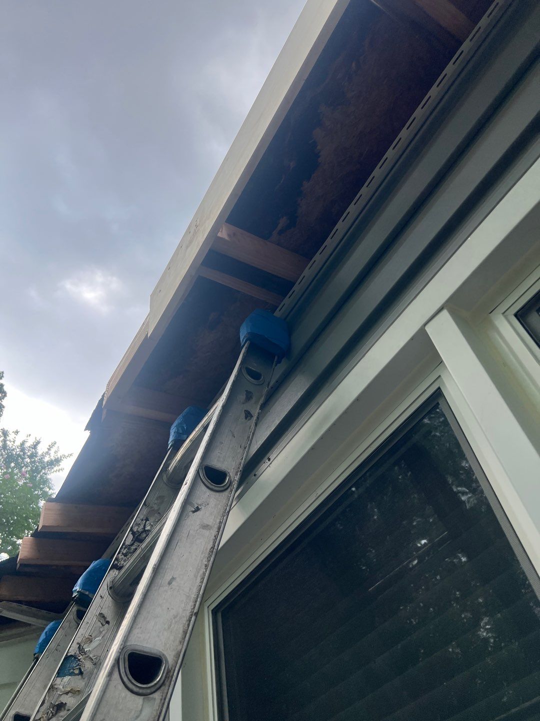 Alexandria: Residential Flat Roof Replacement with MuleHide TPO by RM Banning, Inc.