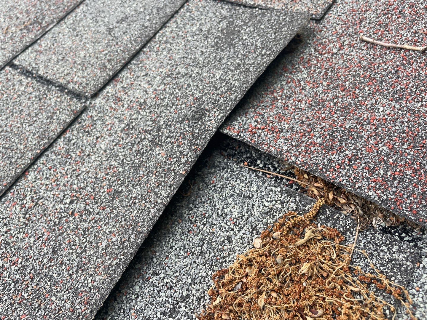 Galvalume Metal Roof by Just In Time Roofing and Restoration