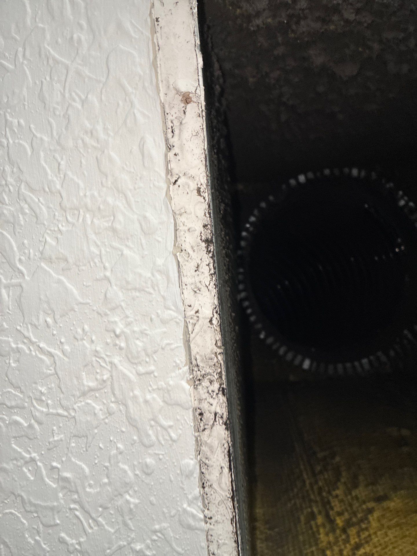 AIr Duct Cleaning in Clermont by Hygienic Air, Inc