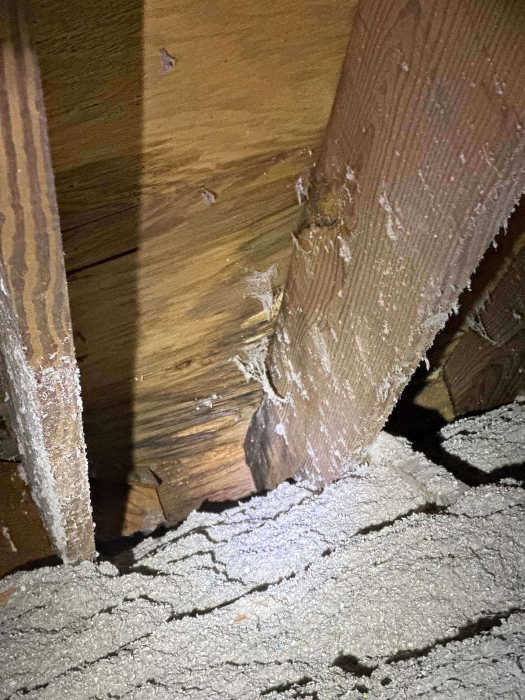 Roof Repair Richmond by Roof Repair Services LLC