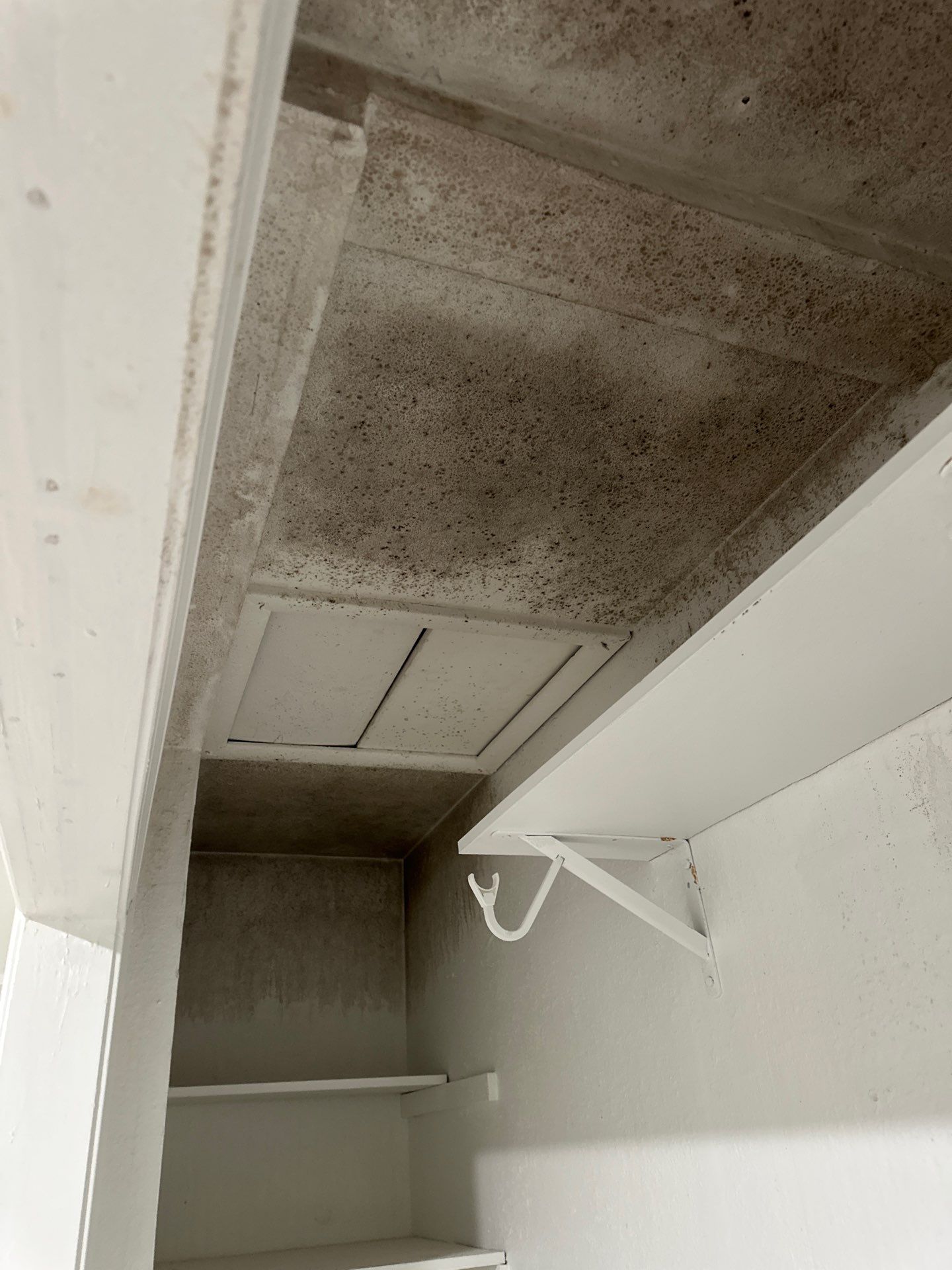 Project in Dallas by Sonova Construction
