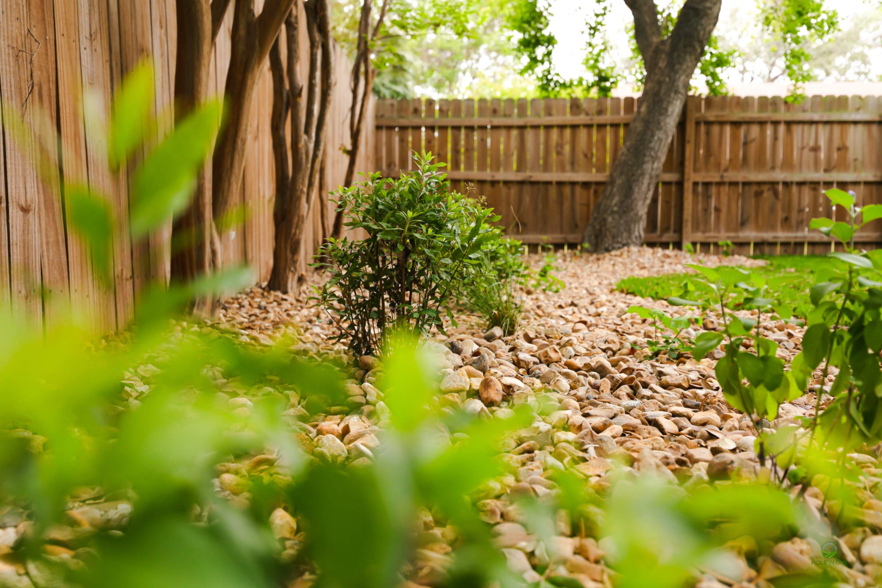 Landscape Design Henderson Pass, San Antonio Tx. by Hole In One Lawns, LLC