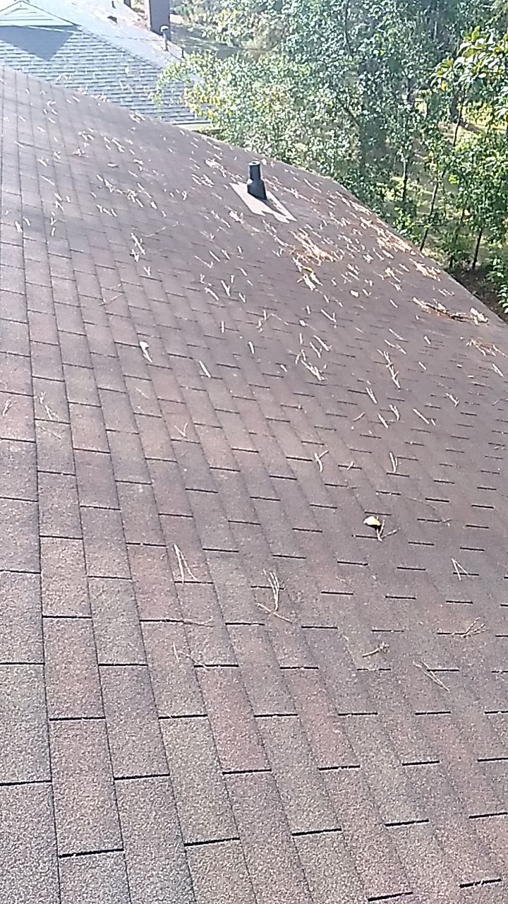 Residential Leak Repair  by Indigo State Roofing