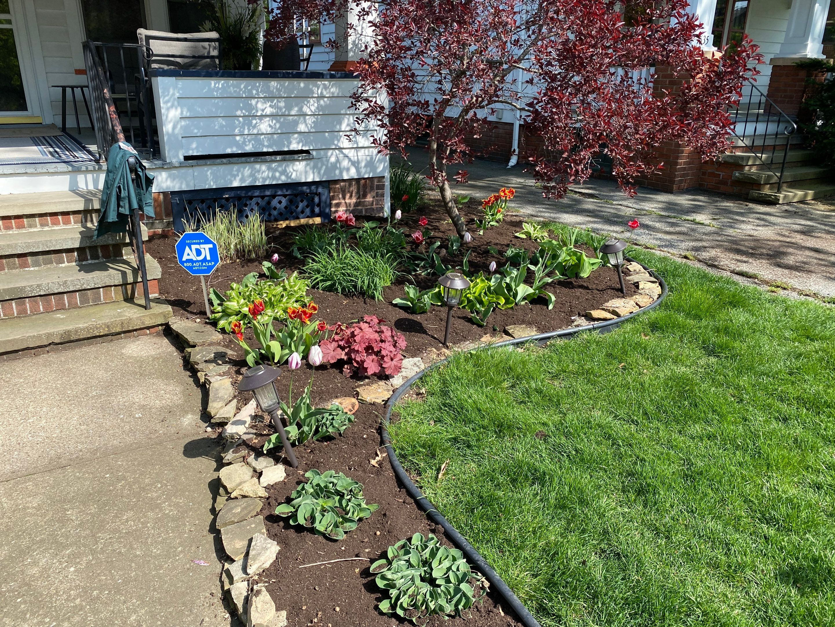 Woodland Island Project by Elm Rose Gardens