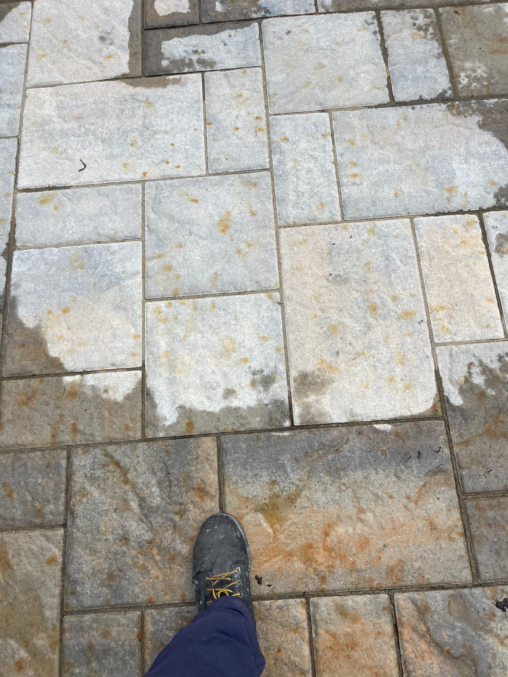 Pressure treated wood deck cleaned by SJ Exterior