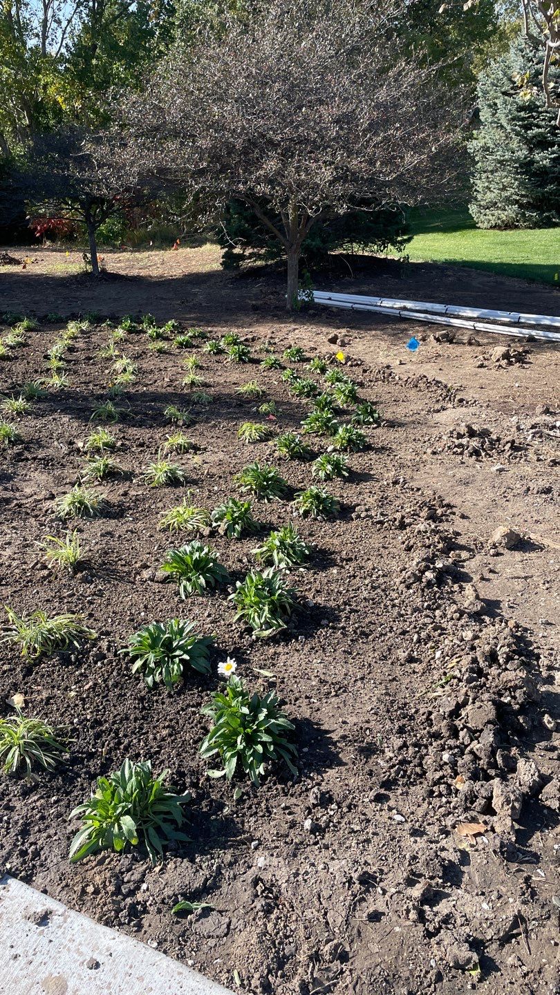 Landscape Bed Updates.  by New Horizon Landscapes