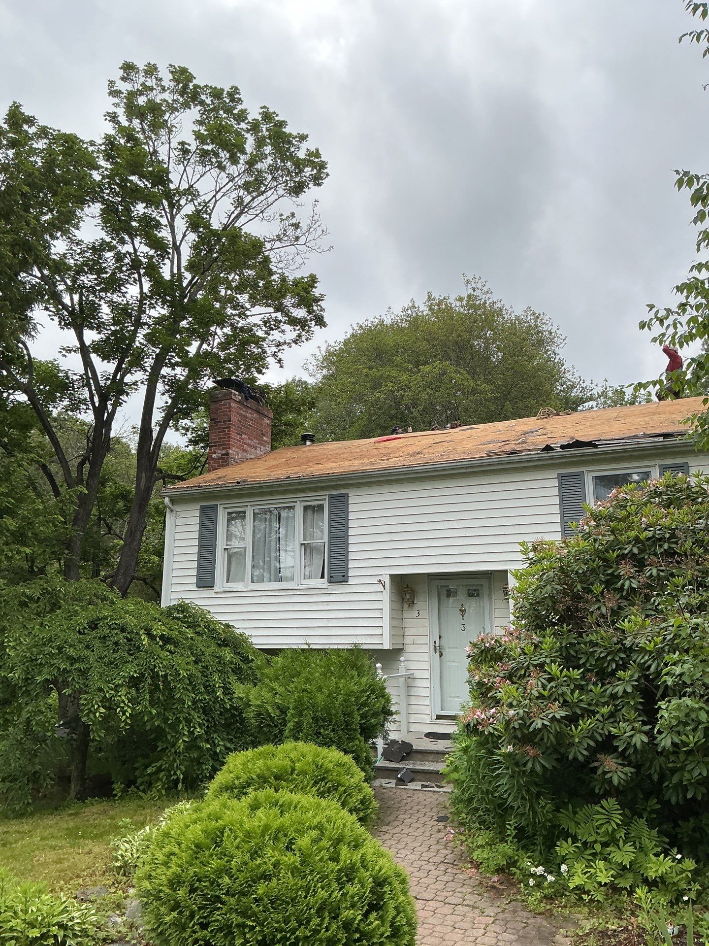 Gutters & Roofing | Acton by Mighty Dog Roofing of Greater Middlesex County