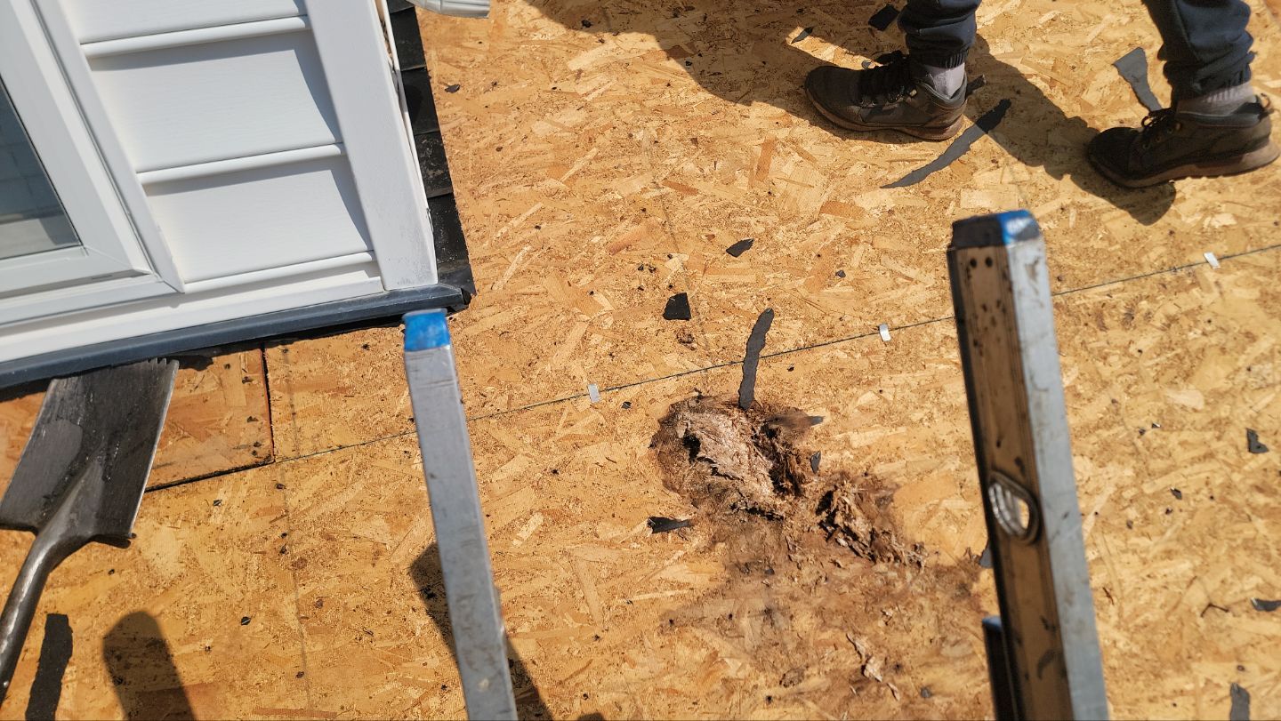 Roof Installation using GAF Timberline HDZ by ExteriorPros