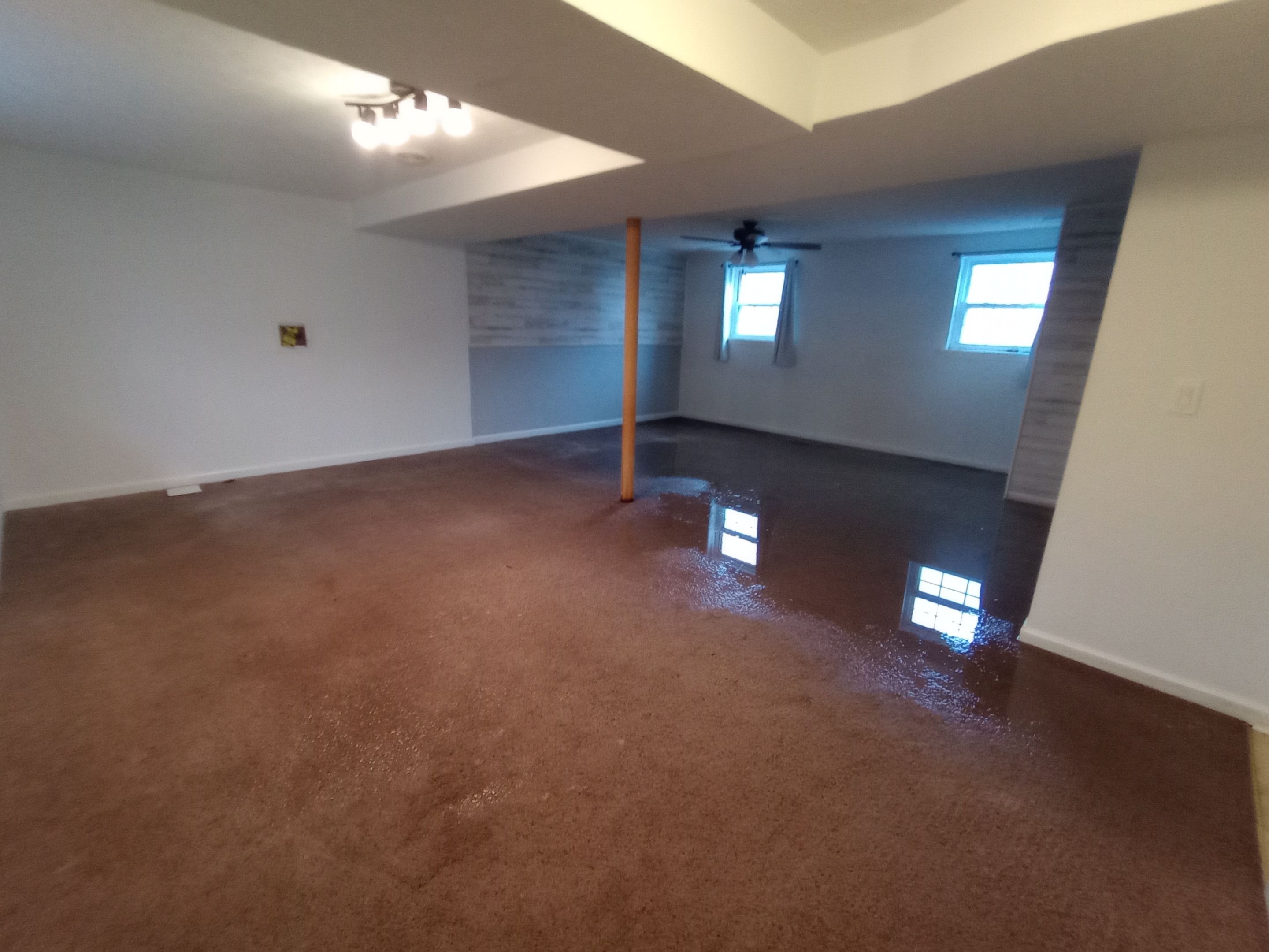 Flooded Basement Water Mitigation by ANR Restoration