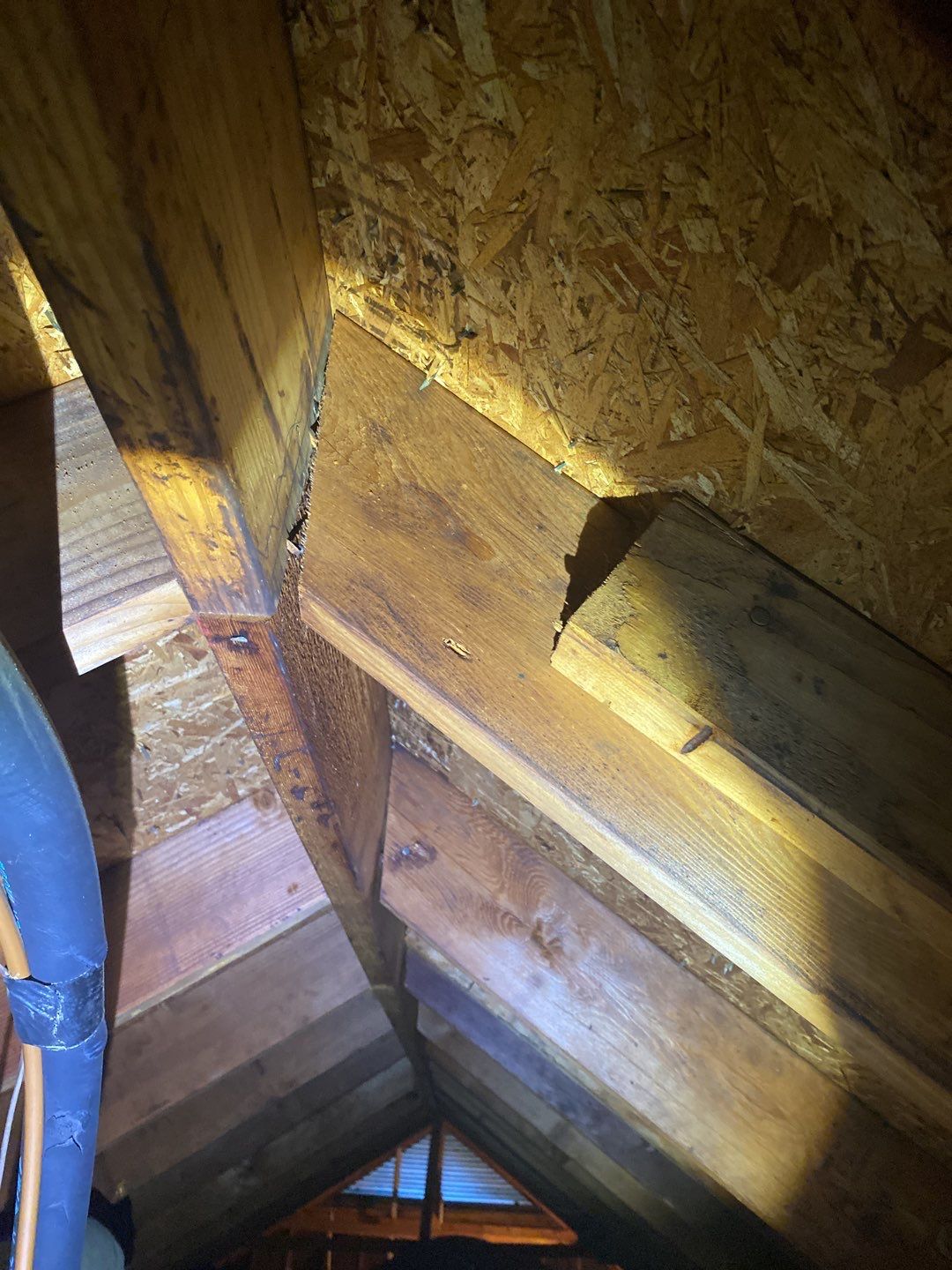 Complete Remodeling To A 40 Year Old House in Burleson, TX photo 304