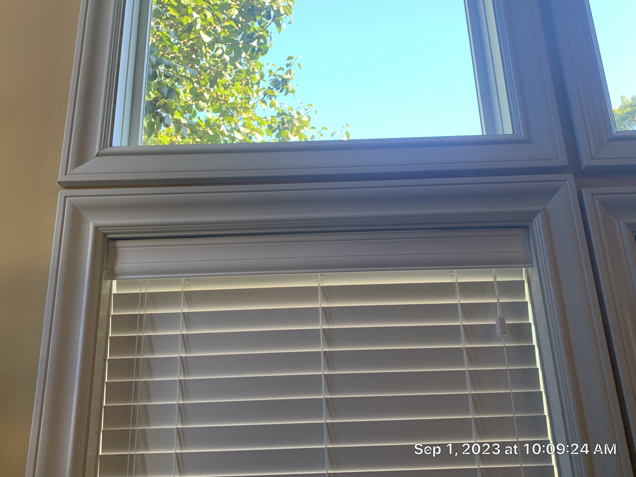 Orange Town Home by Best Buy Painting 