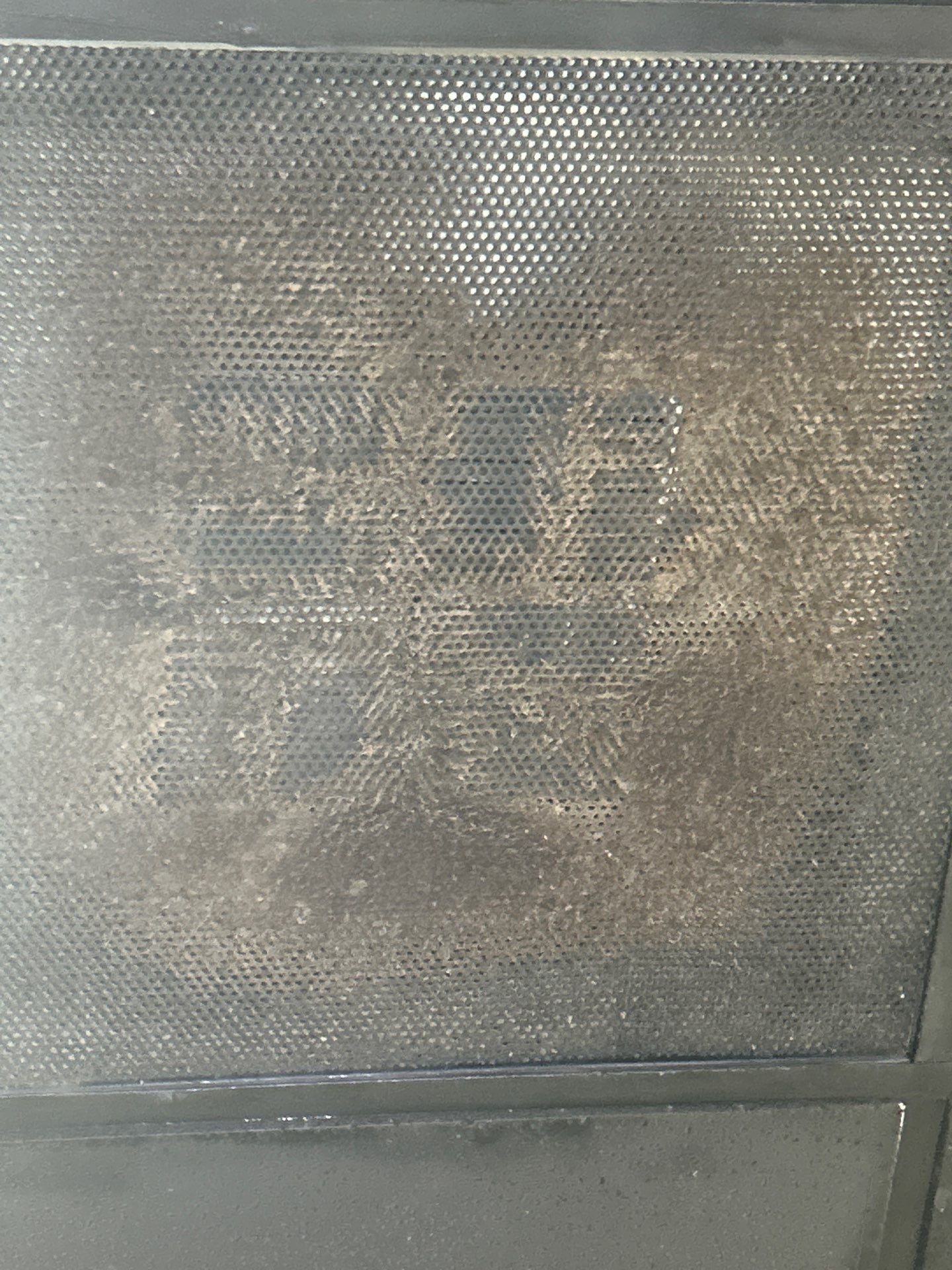 Commercial Building Mold Removal In Clearwater by Ampm Restoration Services