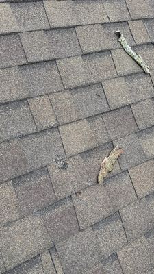 Turtle Shell gutter protection installation in Naperville, IL 60563, photograph 11