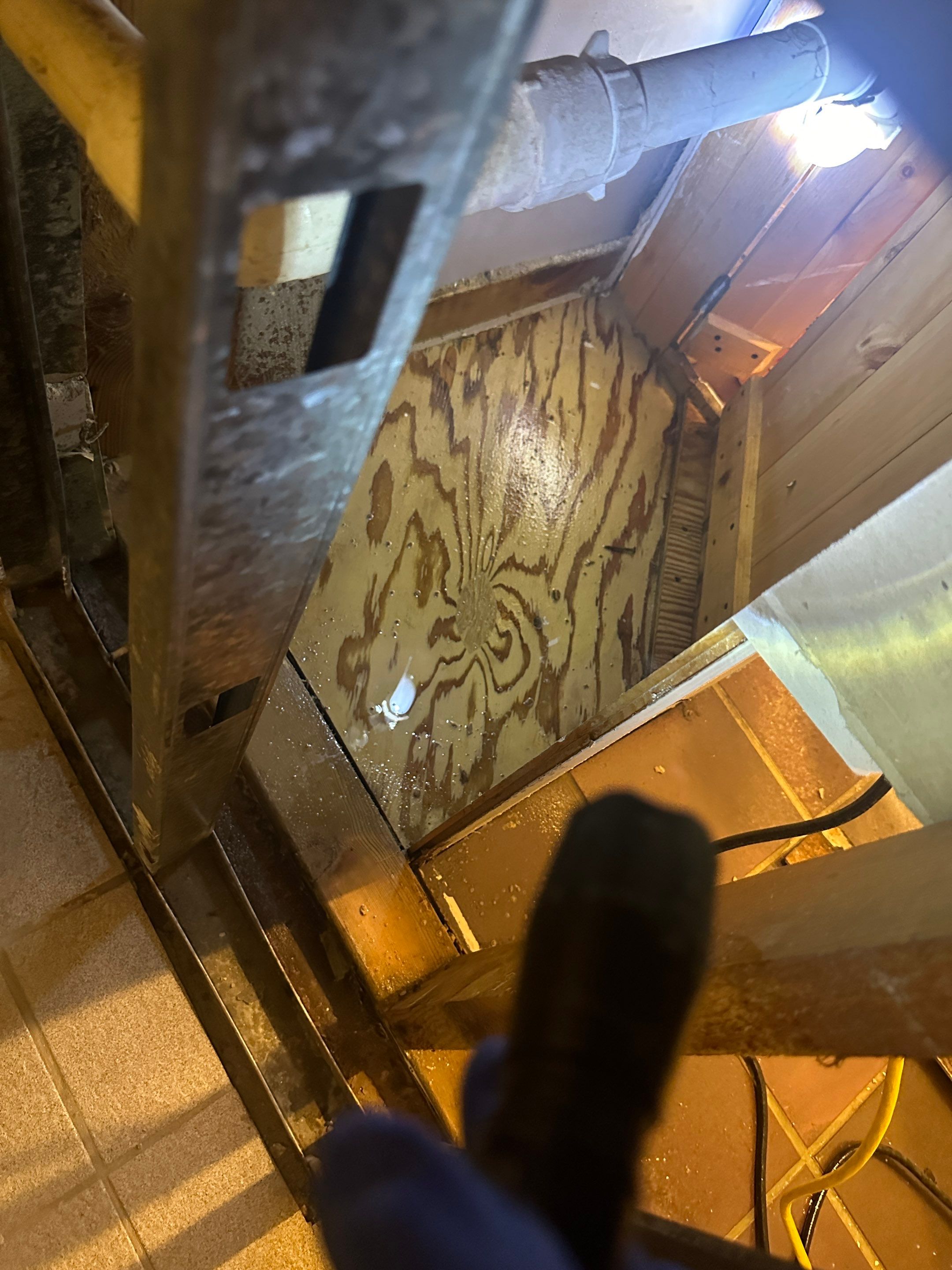 Basement Mold Remediation by Home Guarantee, LLC