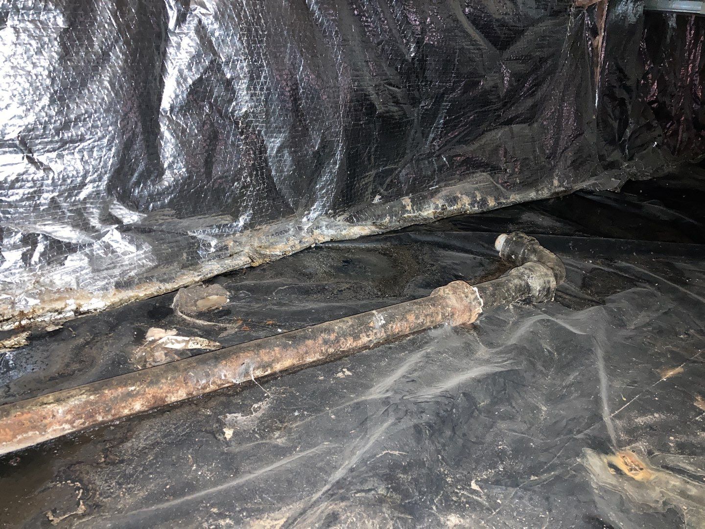 Crawl Space Cleanup  by Accountable Home Services