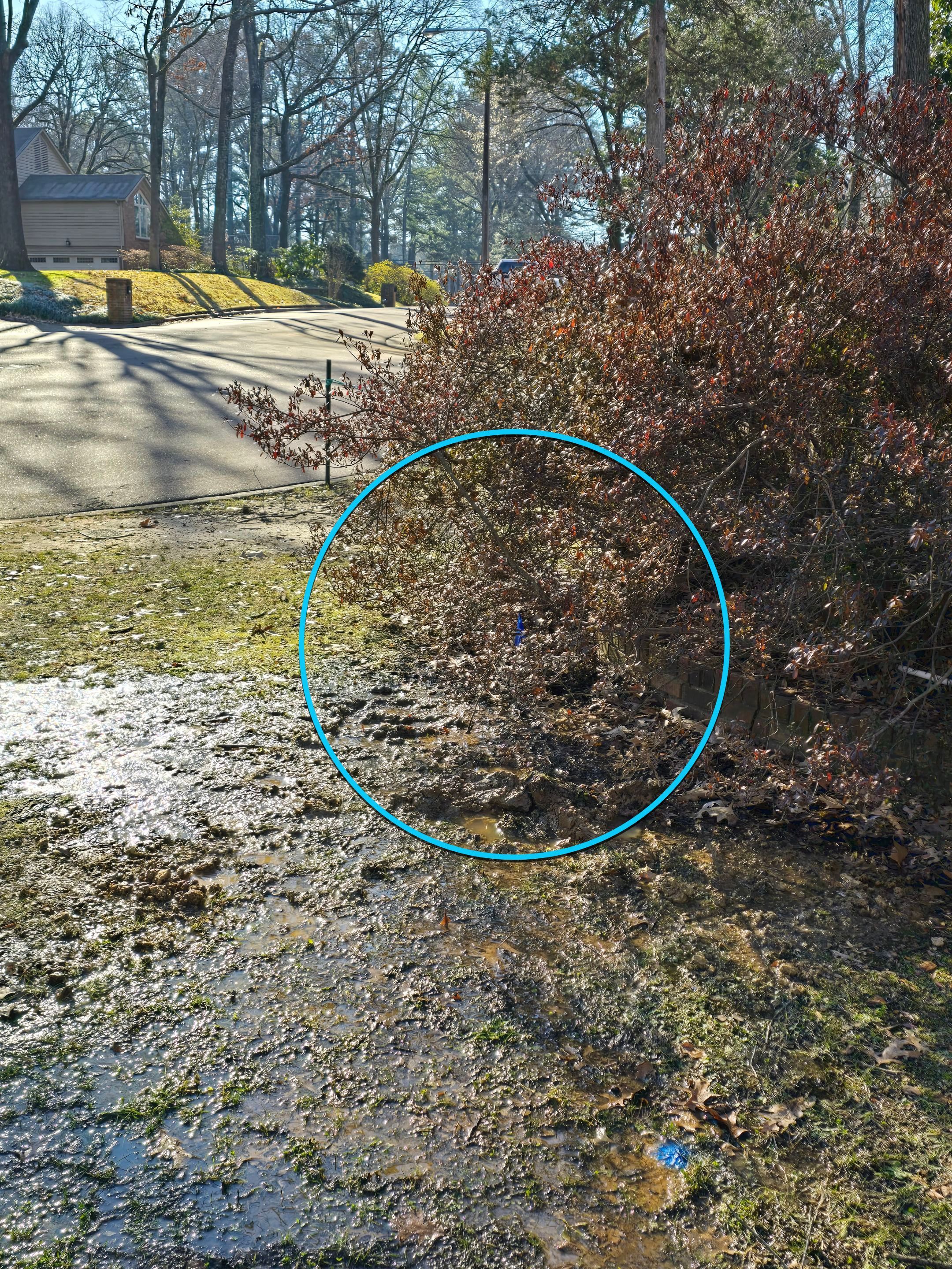 Water Leak Detection by Alsip Locating Service, LLC