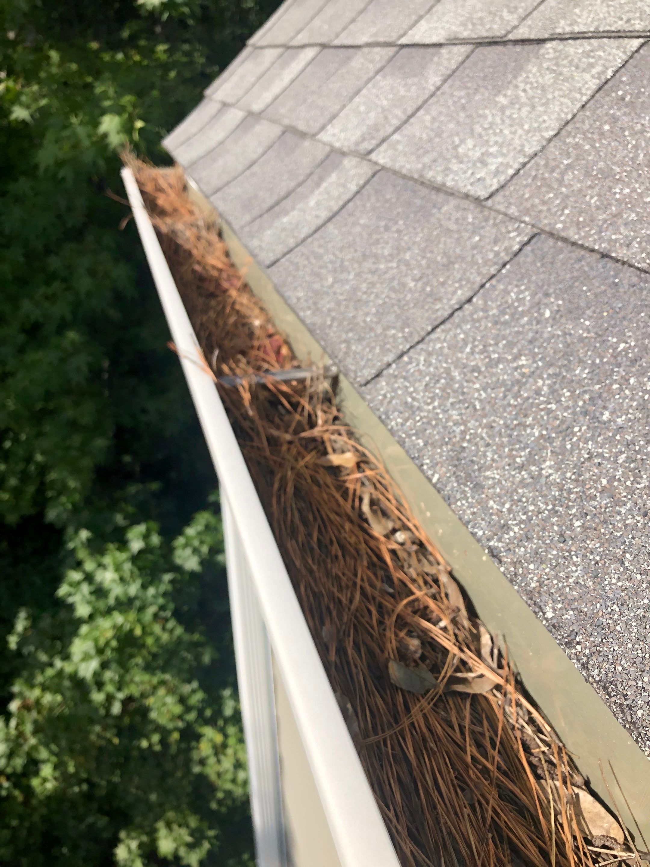 HOA gutter cleaning before photo.