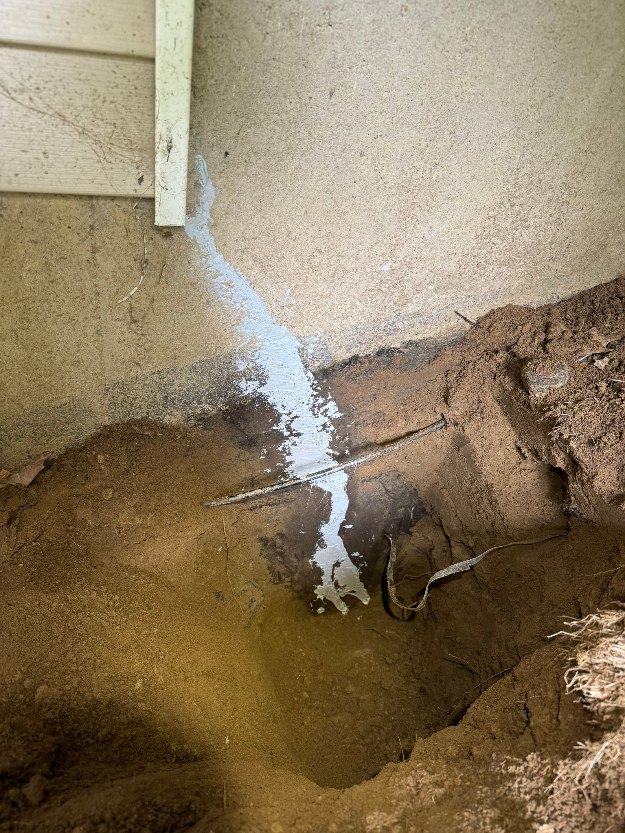Basement & Livingroom Remediation by Home Guarantee, LLC