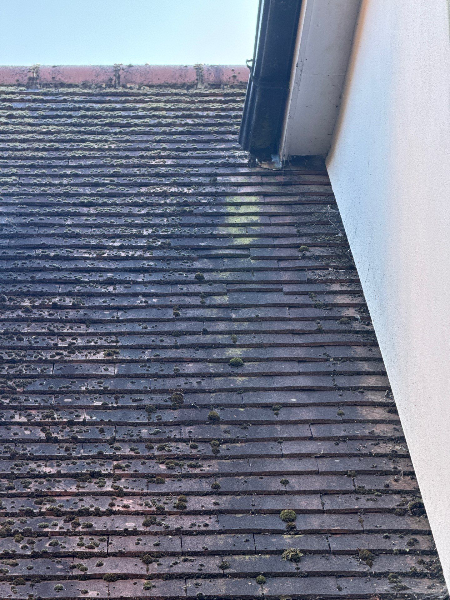 Roof Cleaning and Biocide Treatment using Honda 15lpm Low Pressure Washing Machine by Ges Exterior Cleaning ltd