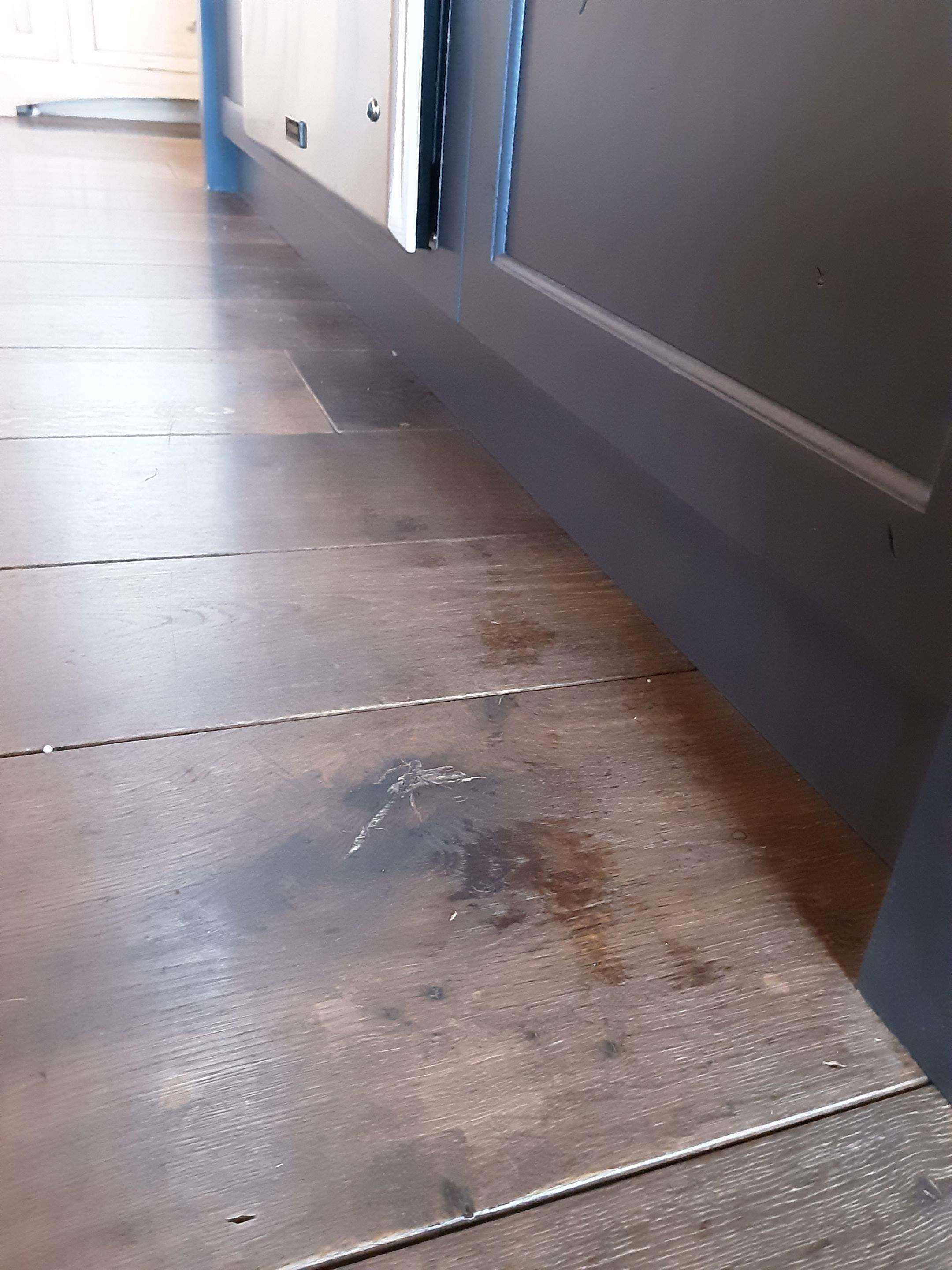 Interior water damage inspection by ASAP Roofing & Restoration