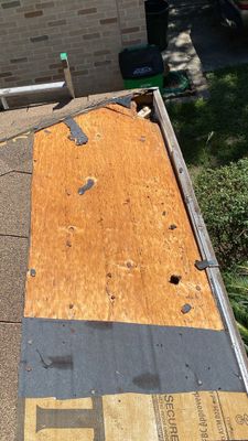 Roof Repair Spring