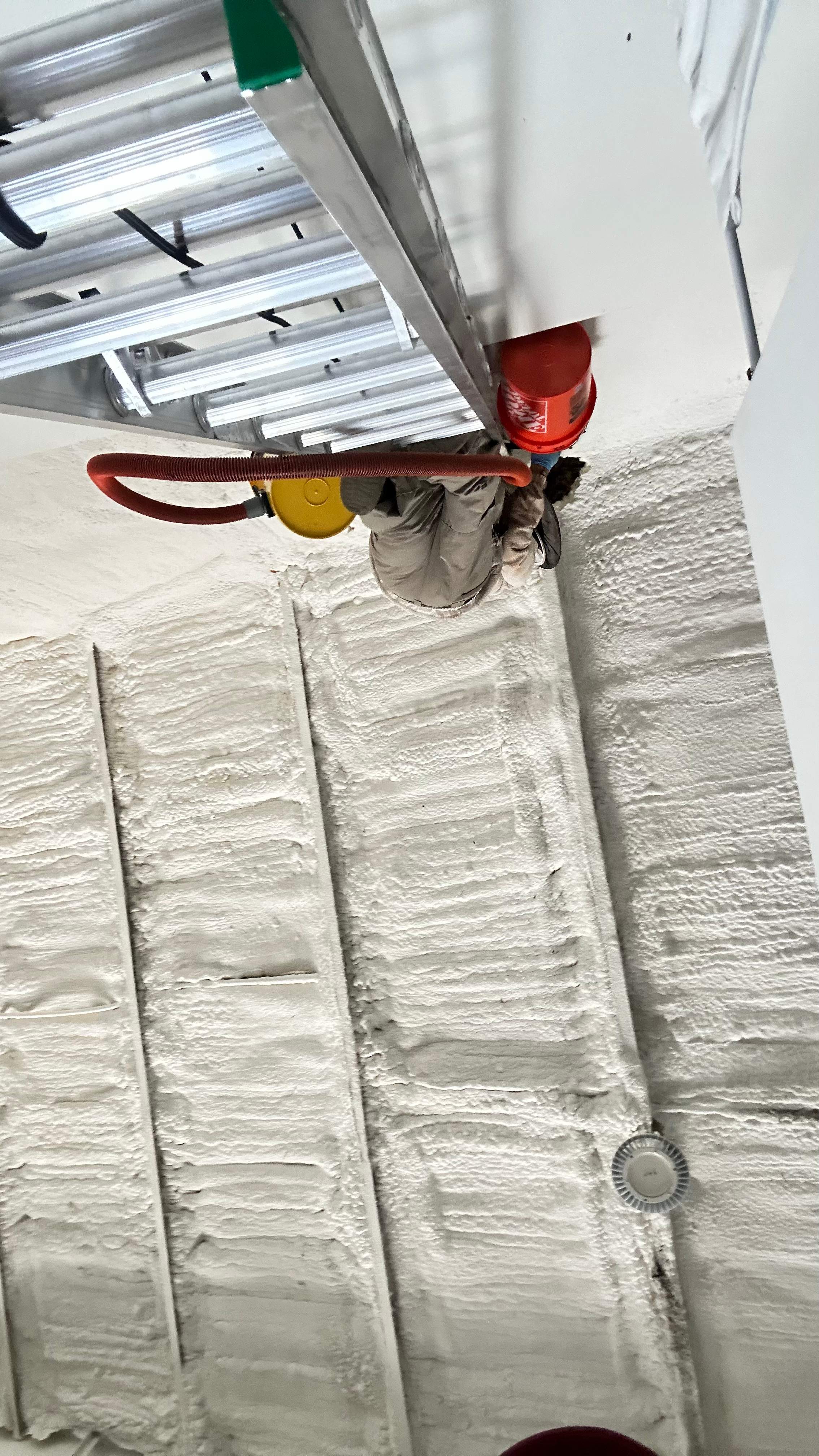 Art Gallery by Rockwall Honey Bee Company