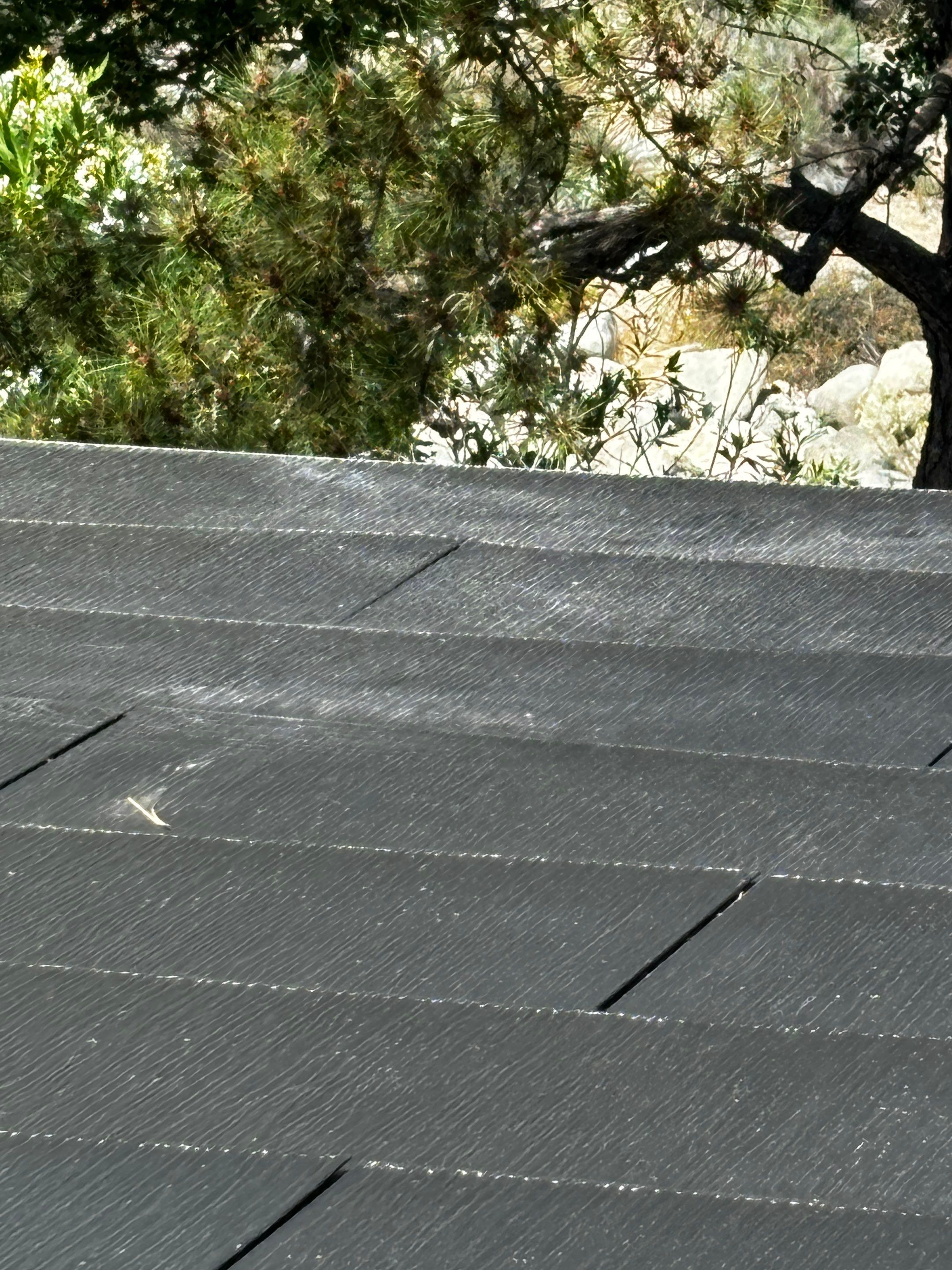 Tesla Roof Cleaning in Pasadena California by Palm Coast Solar Cleaning