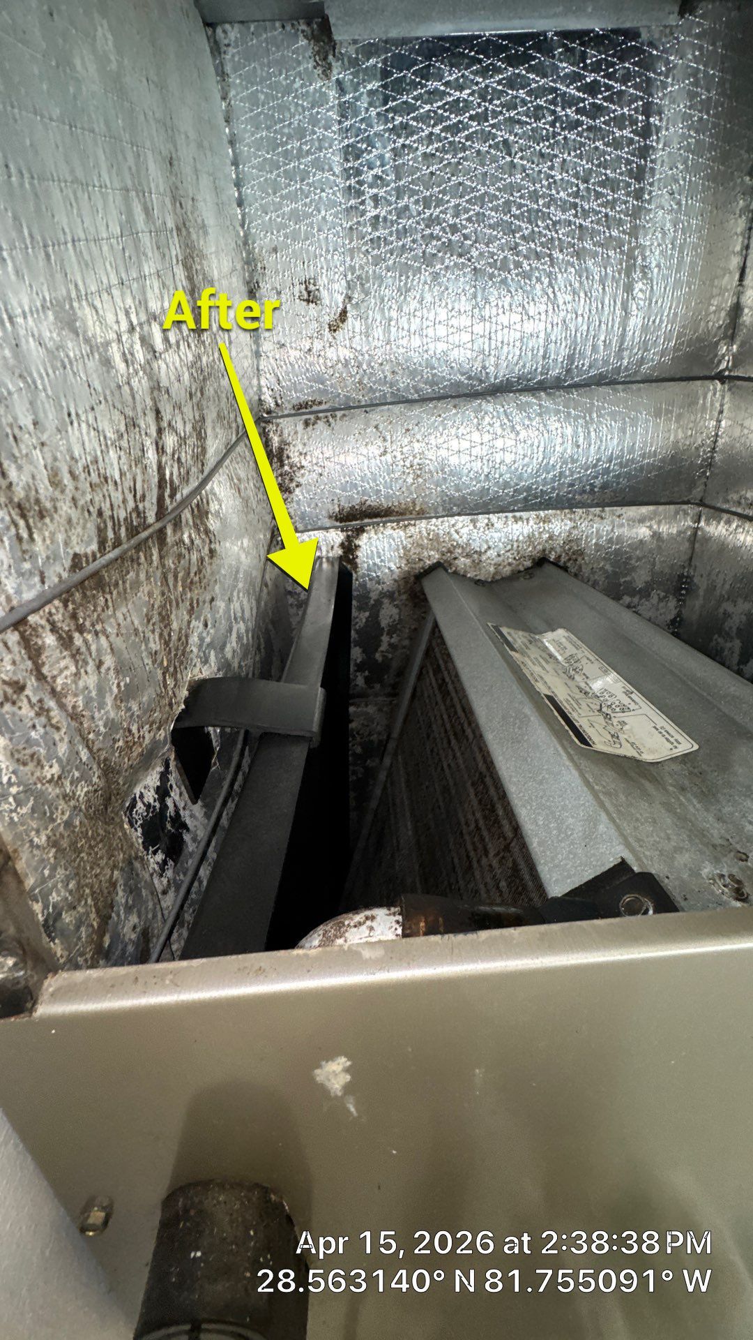 Air Duct Cleaning in Clermont by Hygienic Air, Inc