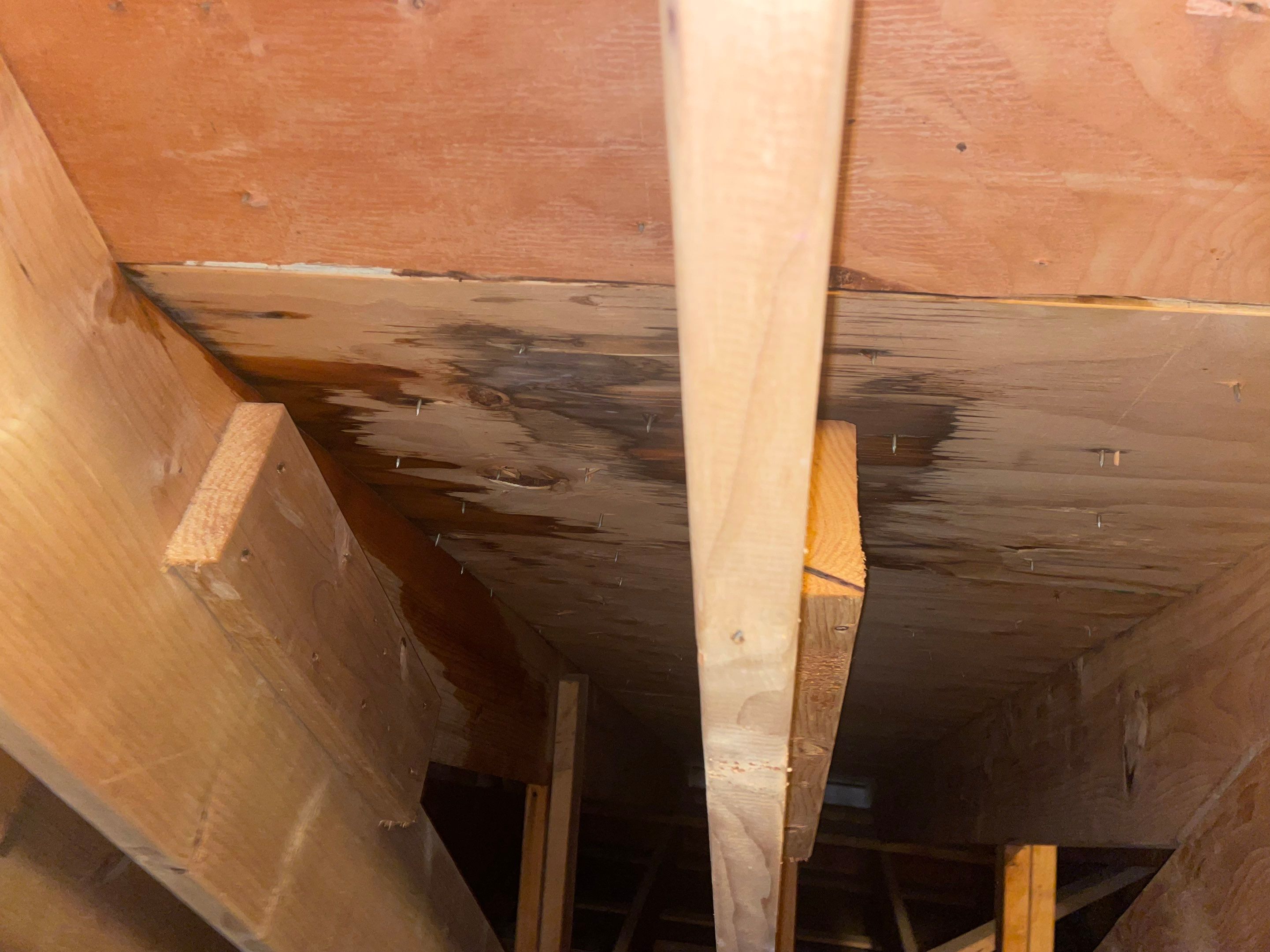 Residential Roofing Repairs by Noble Roof and Remodel LLC