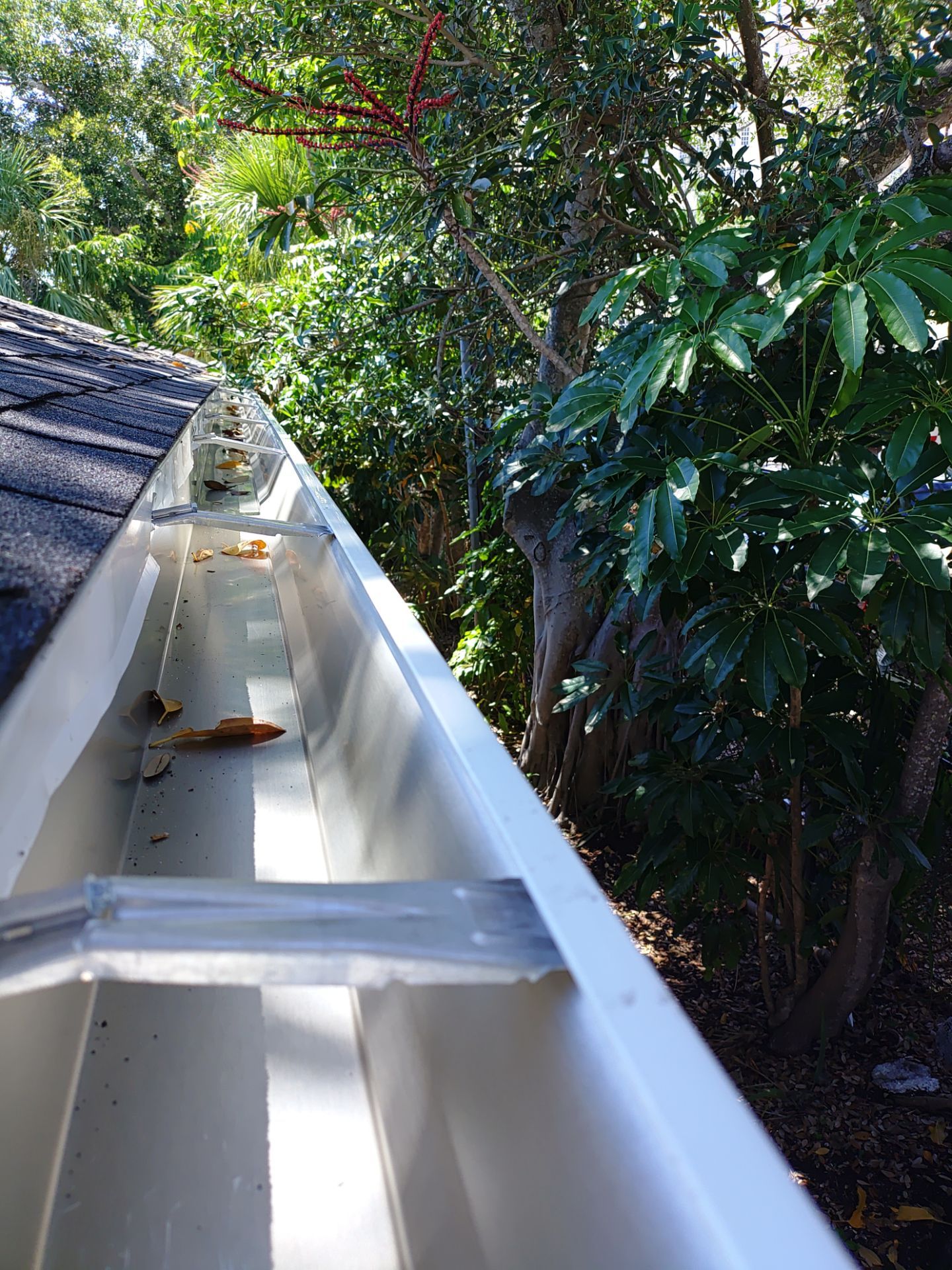 7-Inch Seamless Gutters Installed in Sarasota FL by Gutter Professor by Gutter Professors