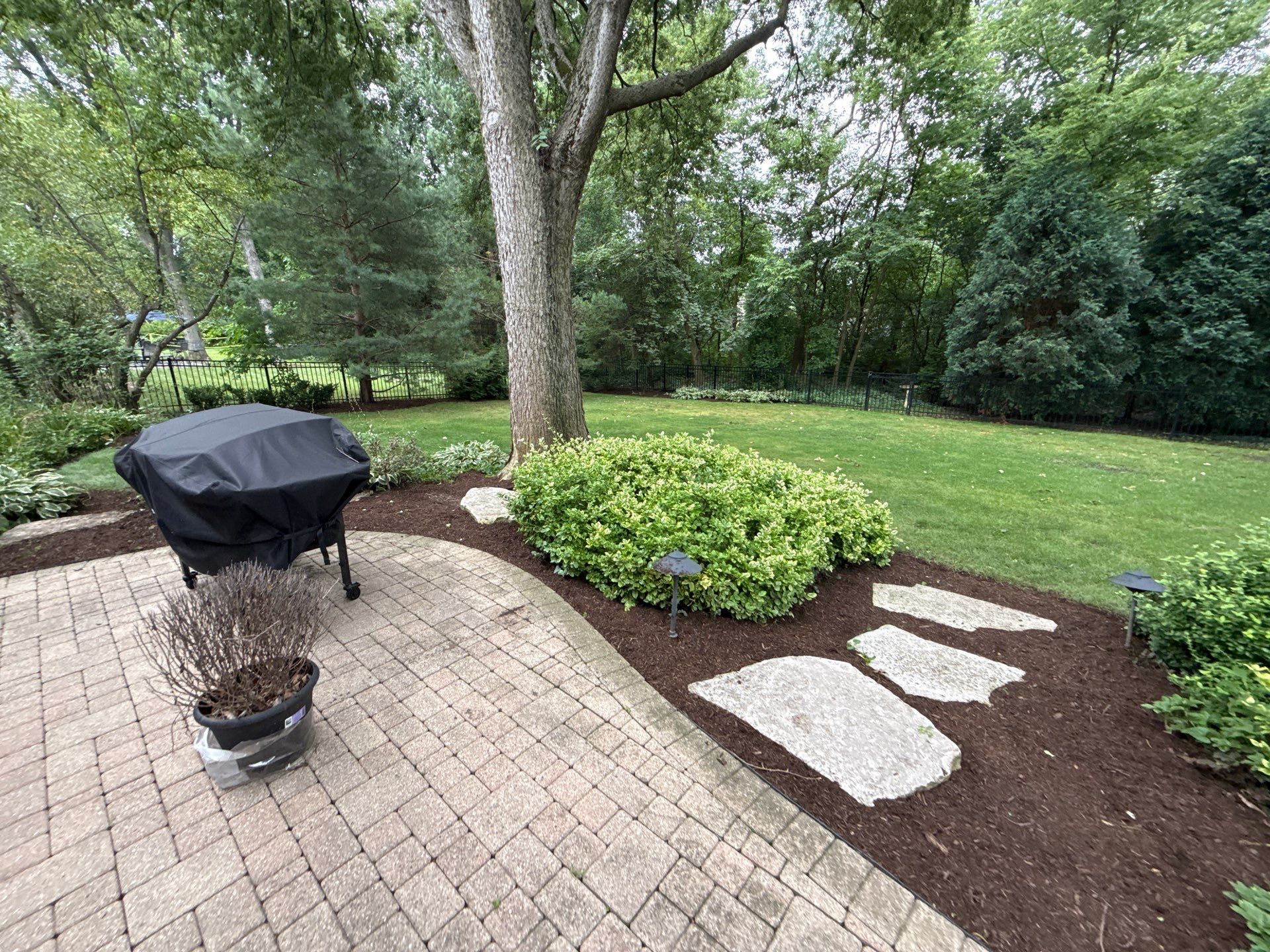Christopher B. - Glenview, IL by A&N