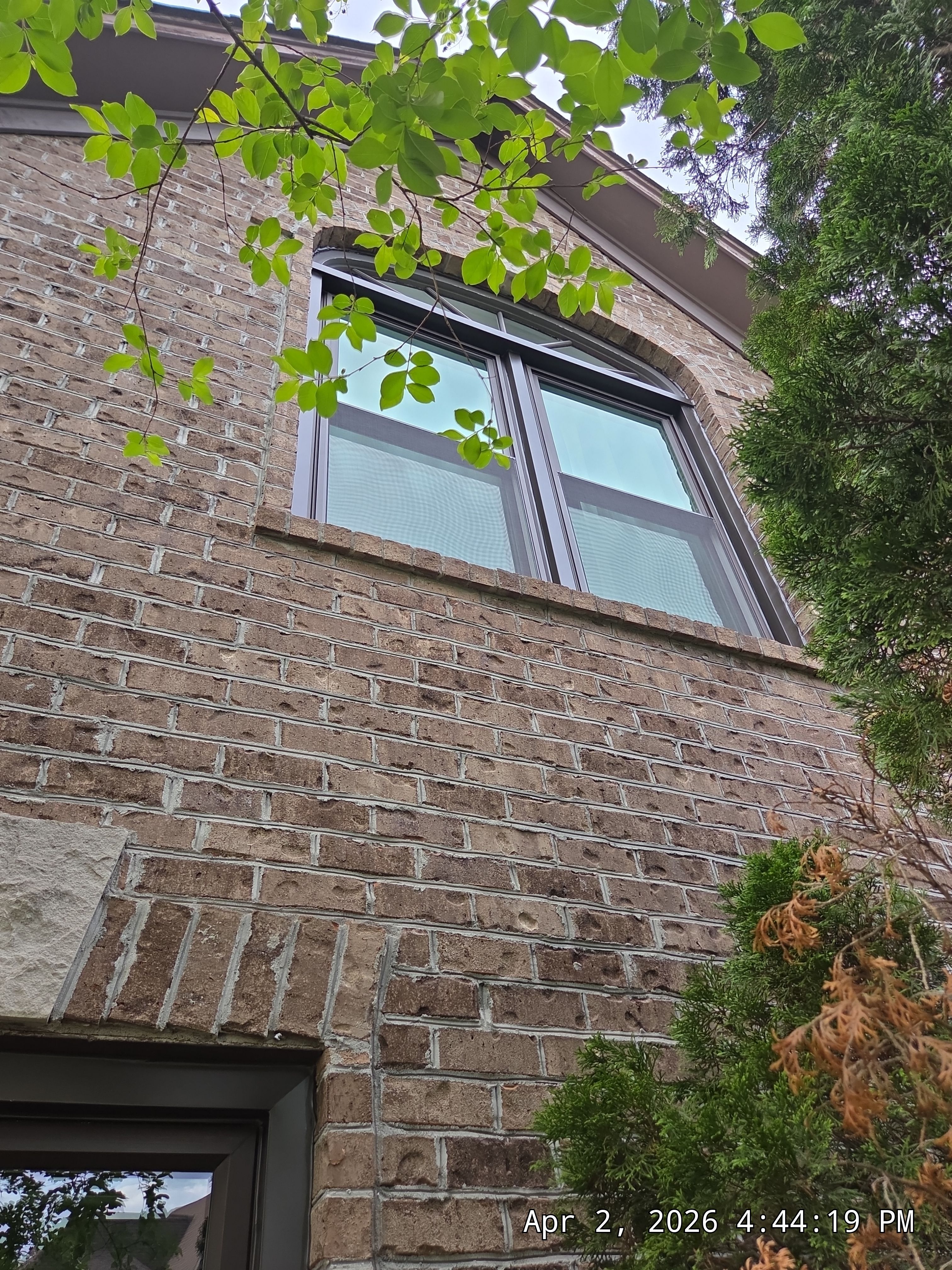 Lewis Project in Hoover by The Window Source