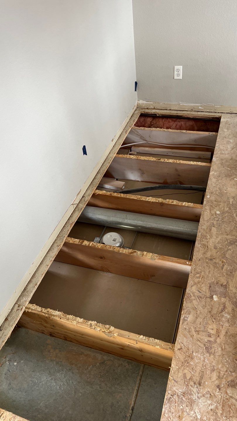 Mold Remediation by Accountable Home Services