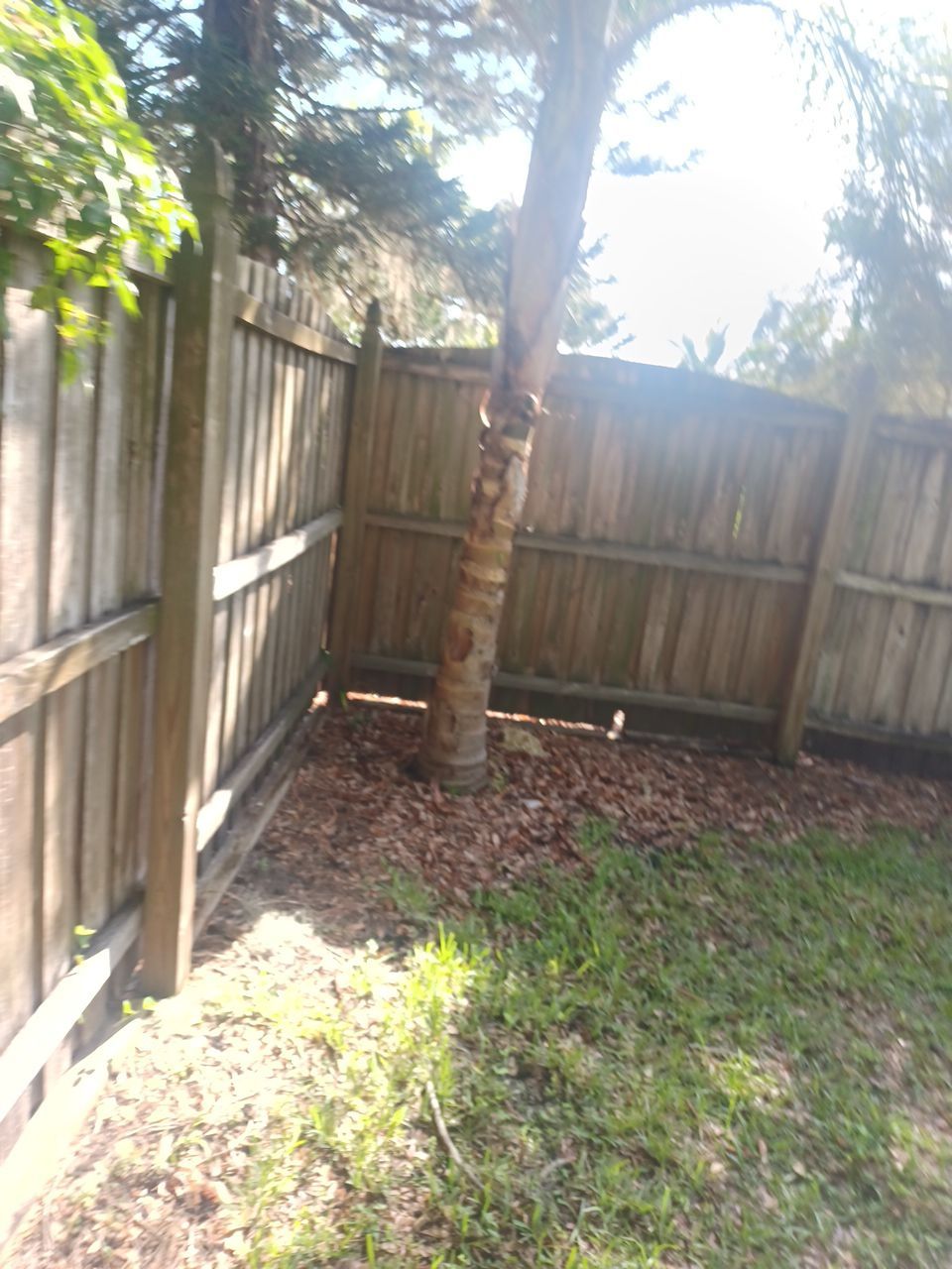 Sarasota, FL 6ft. Tall Treated Board on Board Wood Fence by Asap fence and gates, LLC
