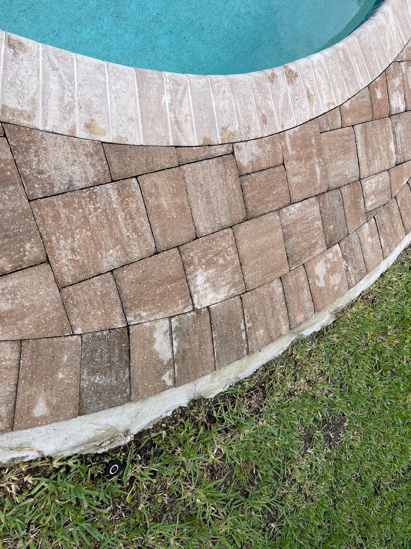 Pool Pavers using Concrete Sealant by DuraSeal