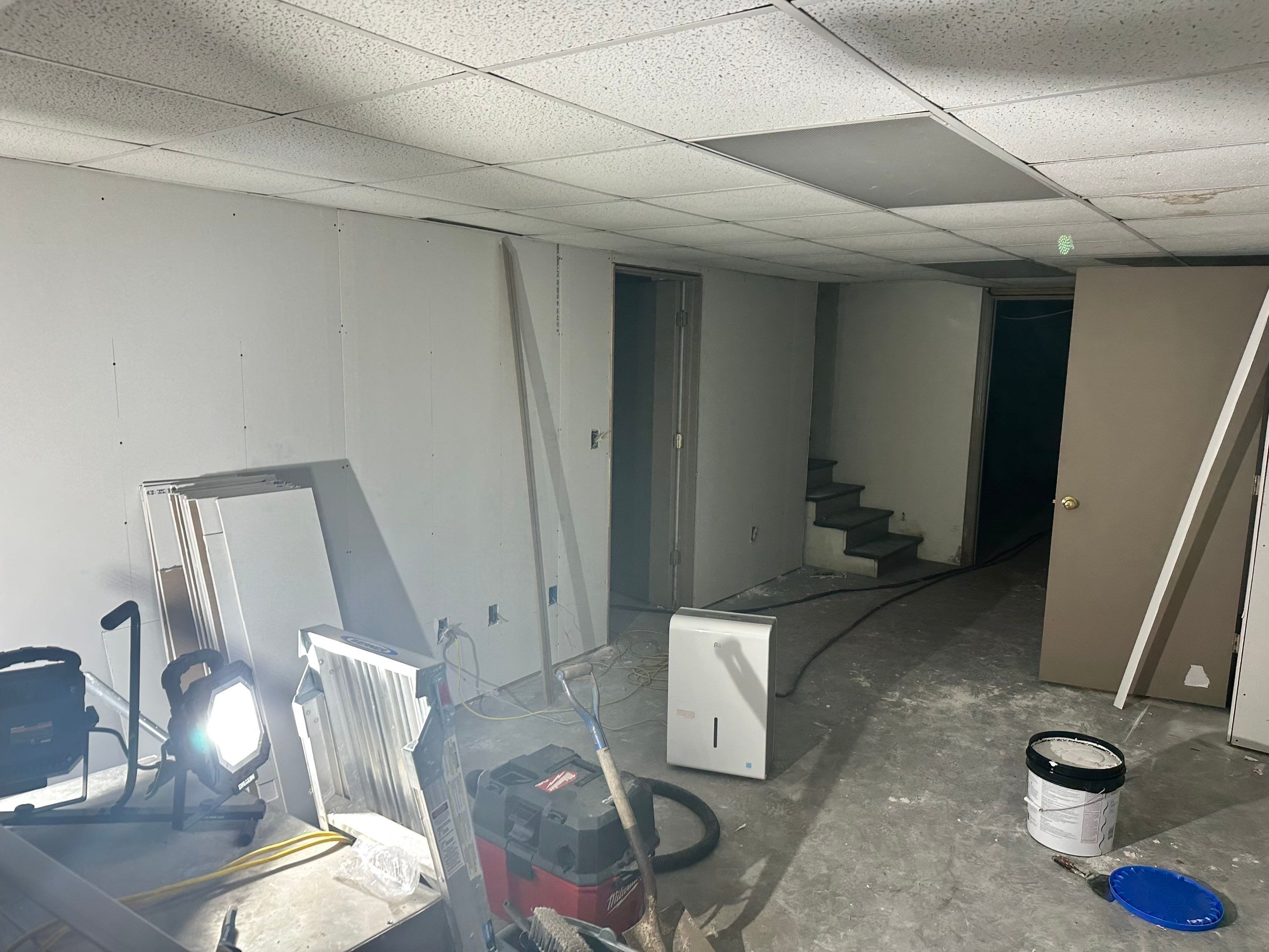 Basement Mold Remediation by Home Guarantee, LLC