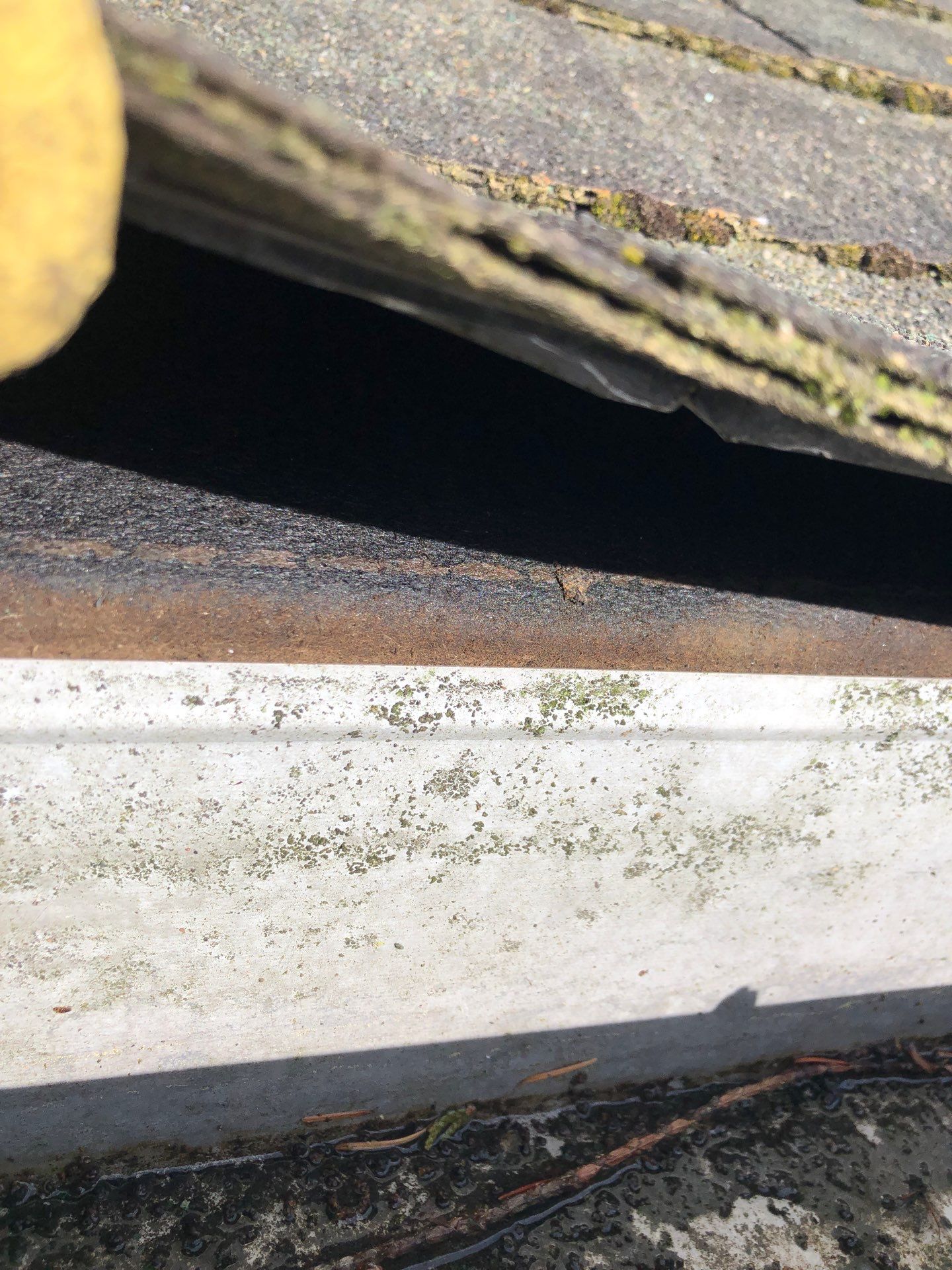 Project in Lynden by Connolly Construction Company