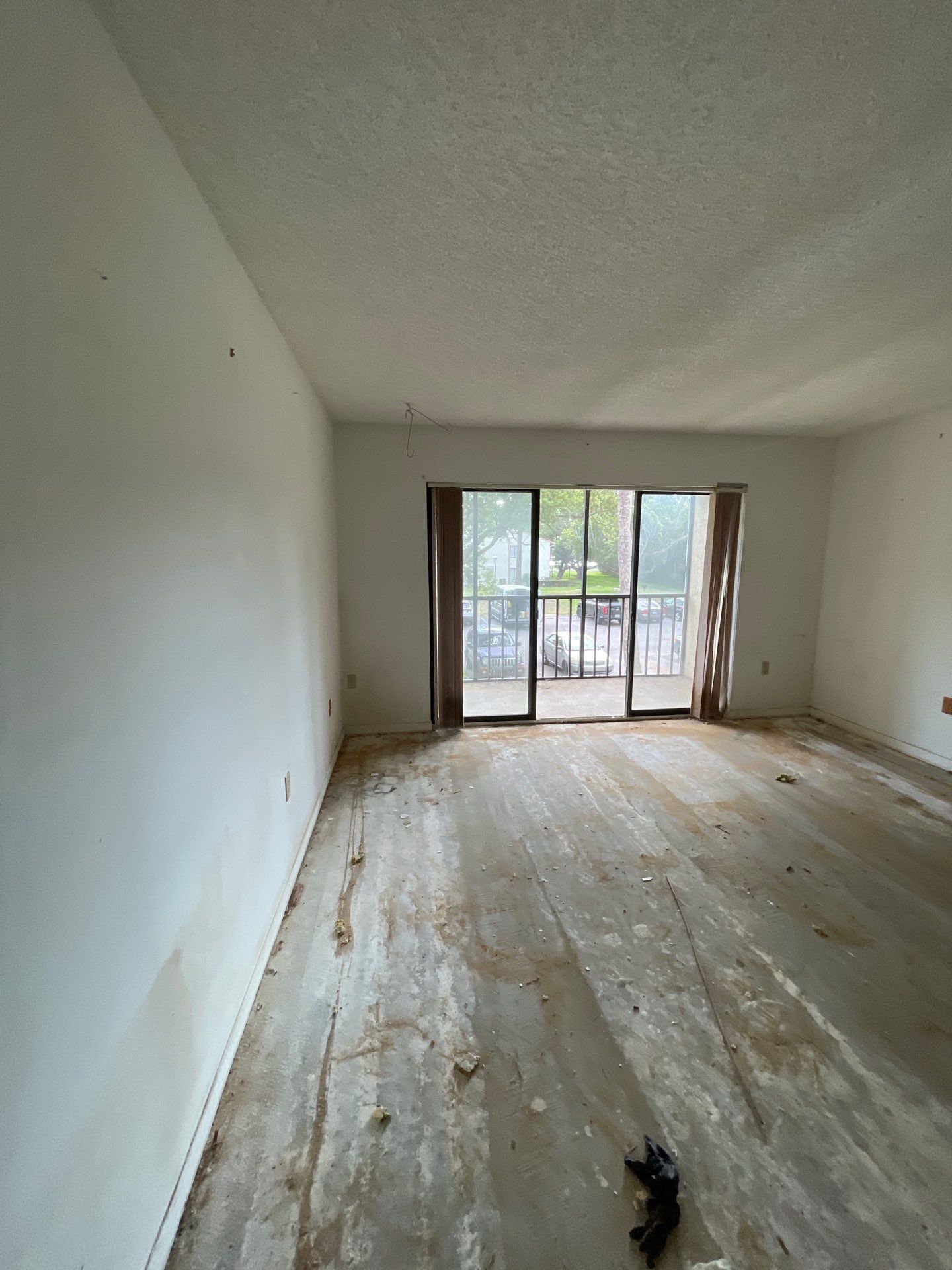 Horder house with Mold and Bacterial Contamination Issues  by Bay Coast Restoration 
