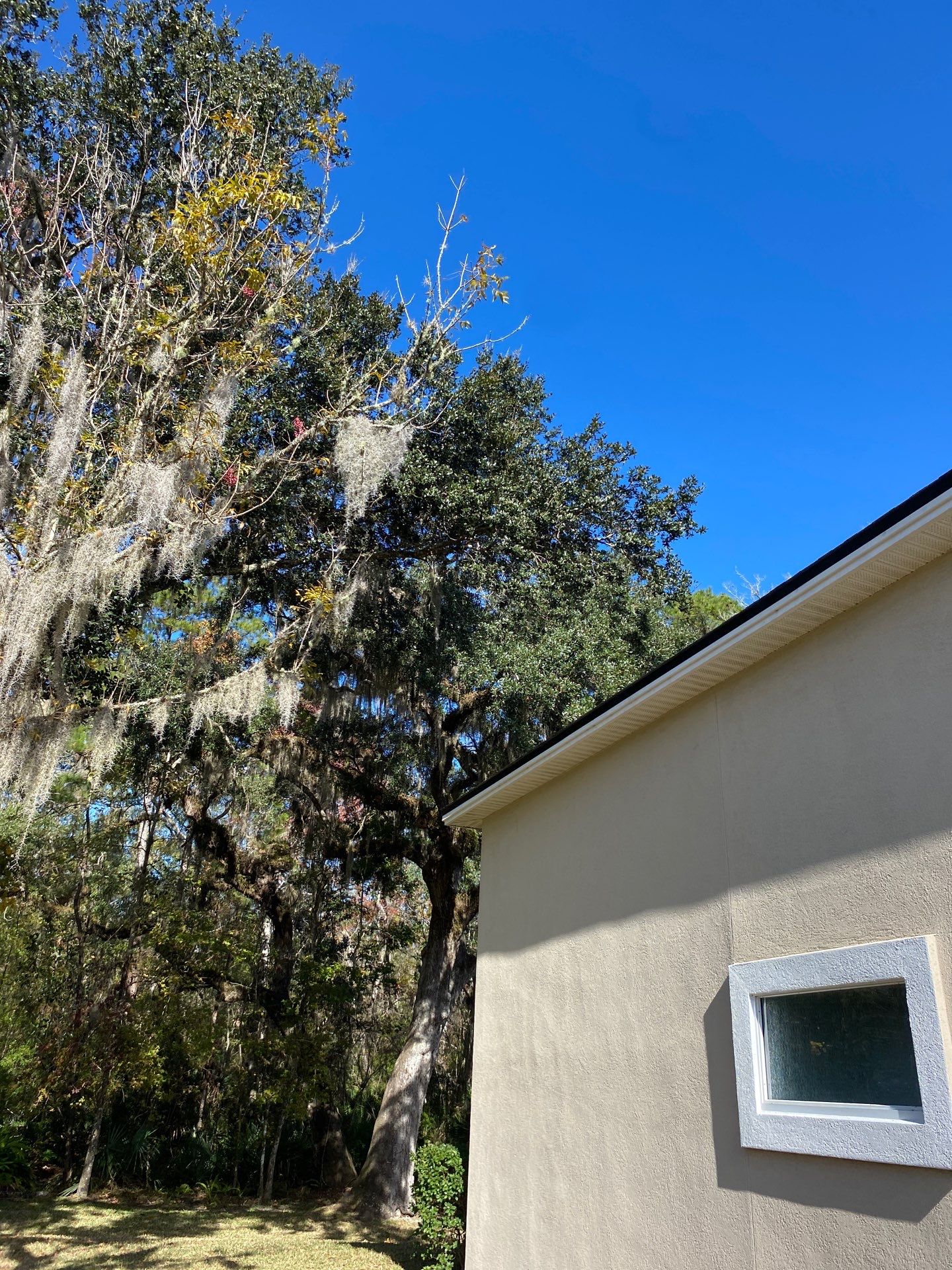 Residential | Tree Service by ProGreen Services